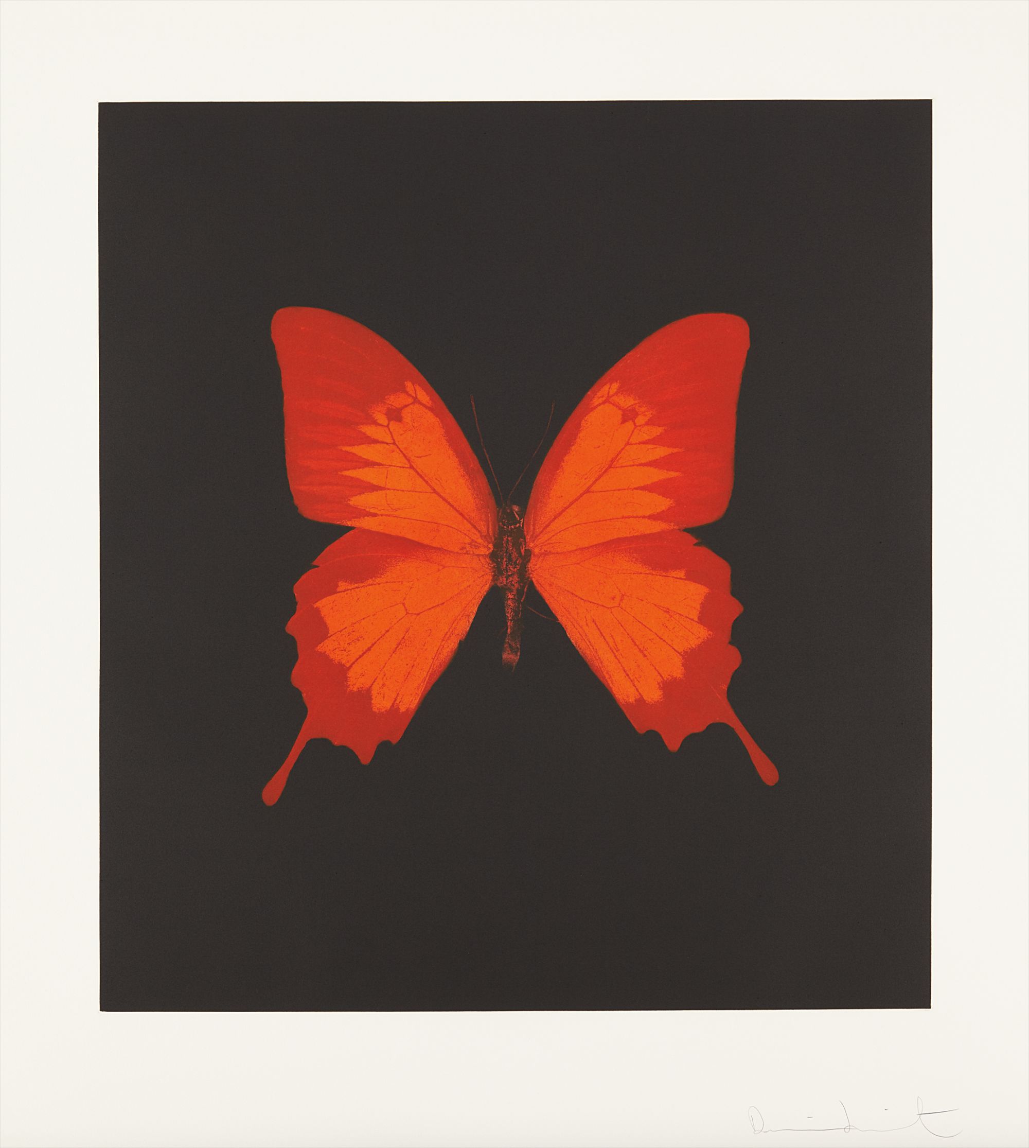 Damien Hirst — Plate 3, from The Souls on Jacobs Ladder Take Their Flight