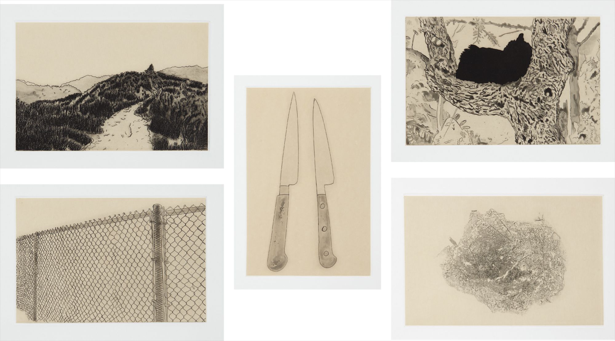 Chris Burden — Coyote Stories