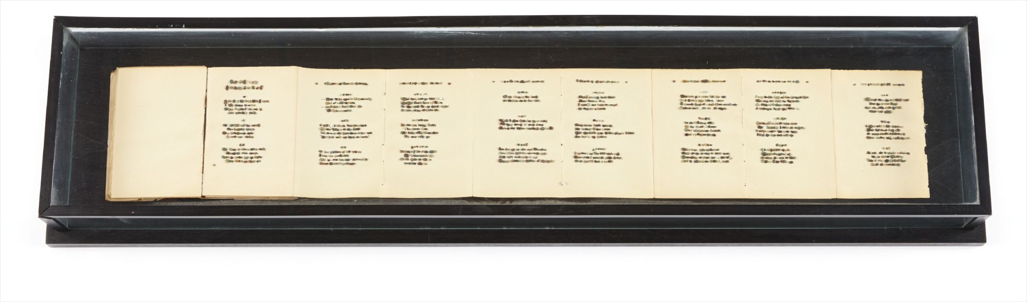 Ann Hamilton — Ann Hamilton