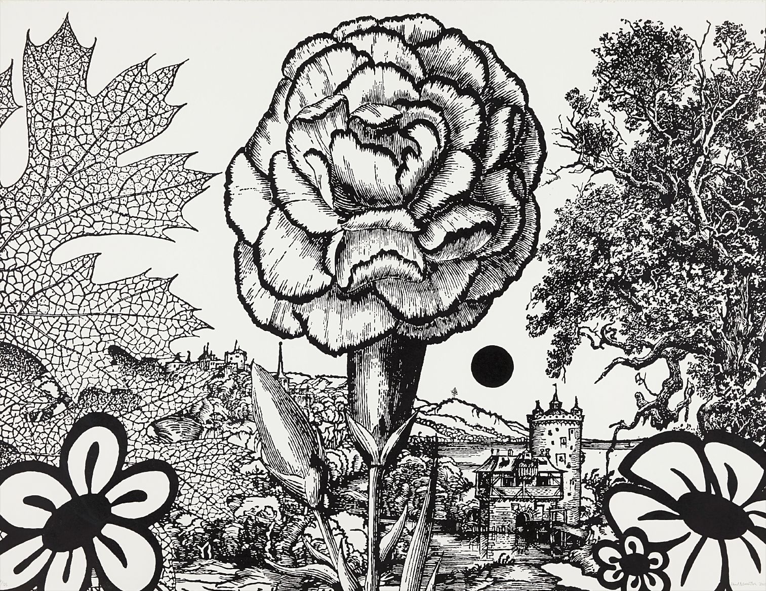 Paul Morrison — Rhexia