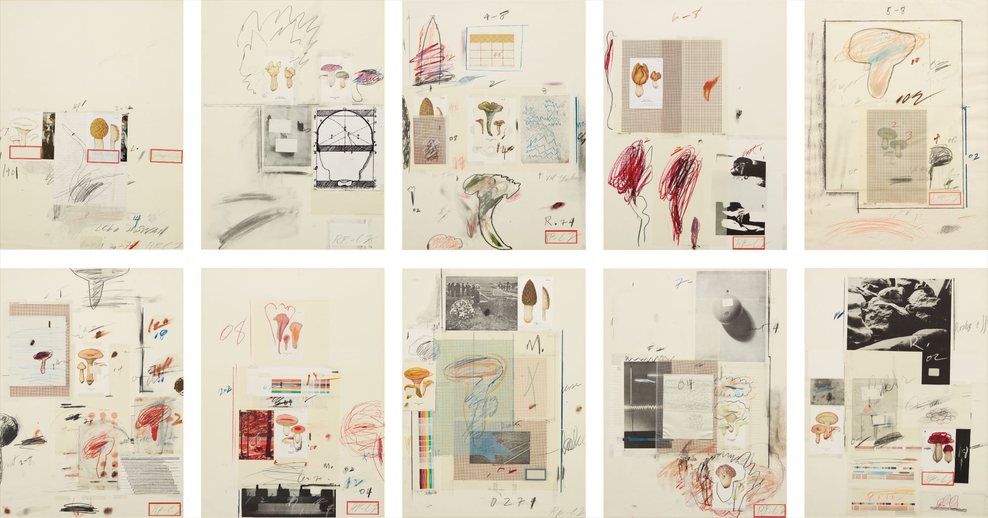 Cy Twombly — Natural History Part I Mushrooms