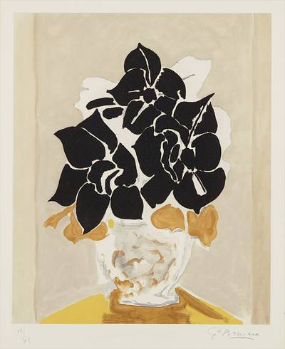 Les amaryllis