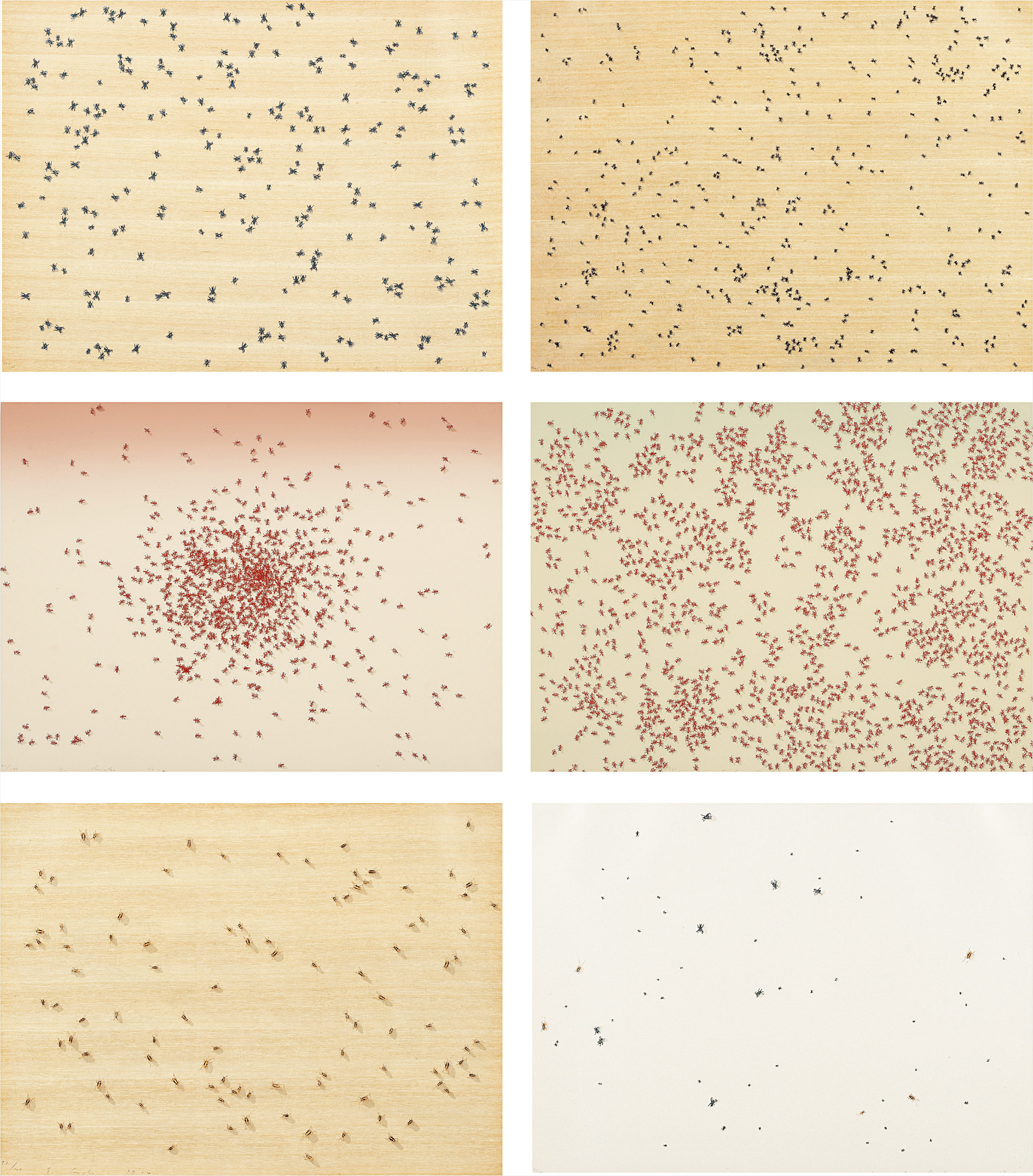 Ed Ruscha — Insects