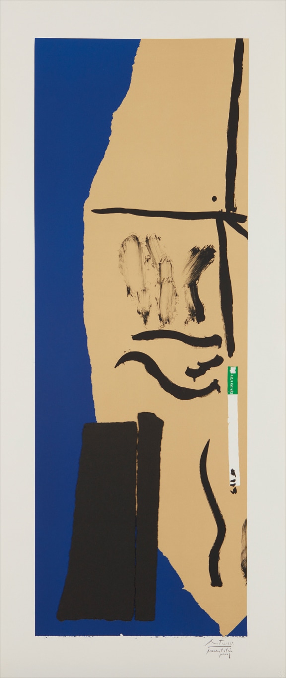 America La France Variations VIII