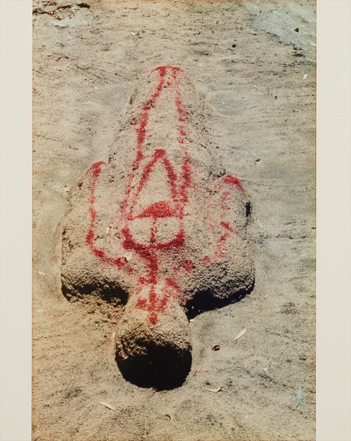 Ana Mendieta — Silueta Works in Iowa