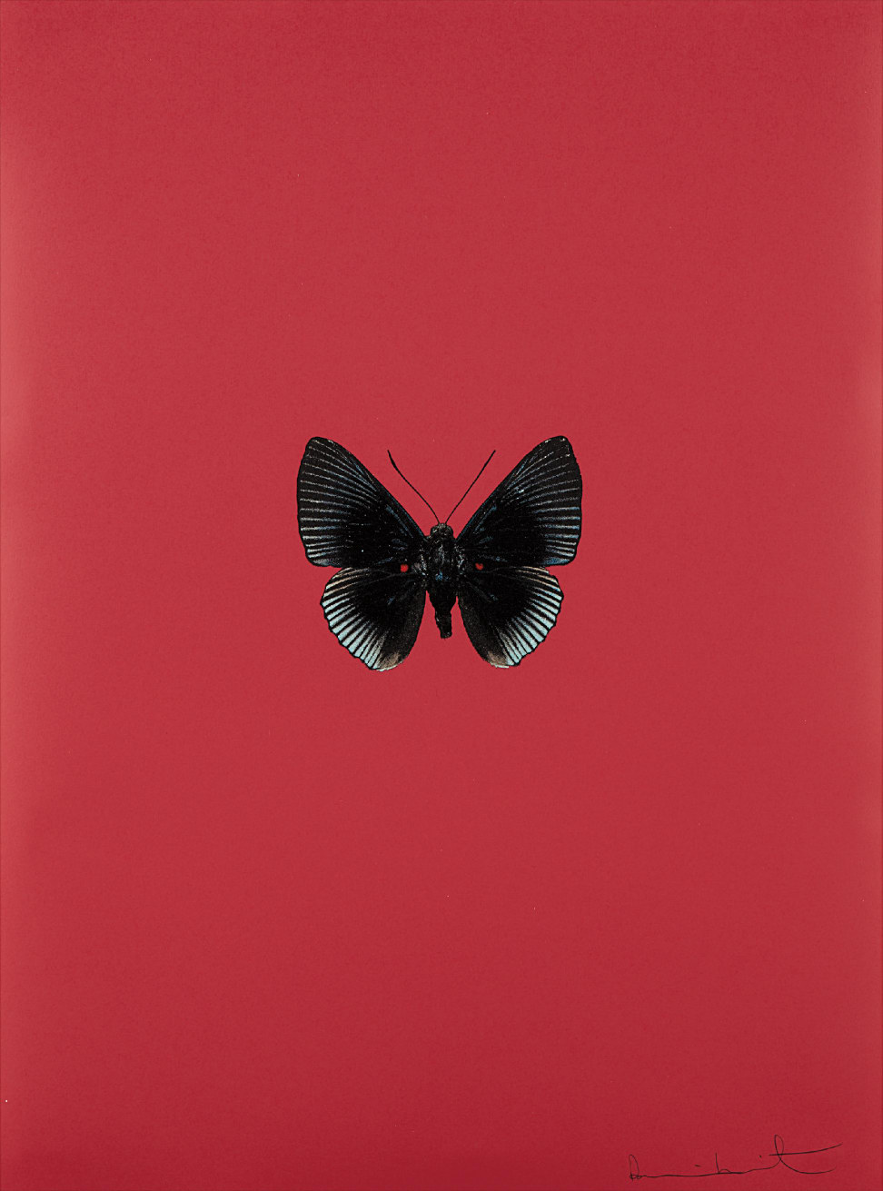 Damien Hirst — It's a Beautiful Day: one plate