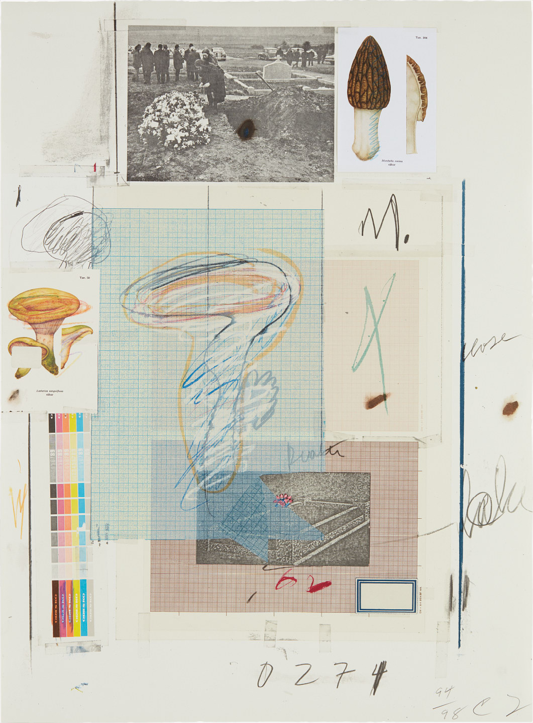 Cy Twombly — Natural History Part I Mushrooms: No. VII