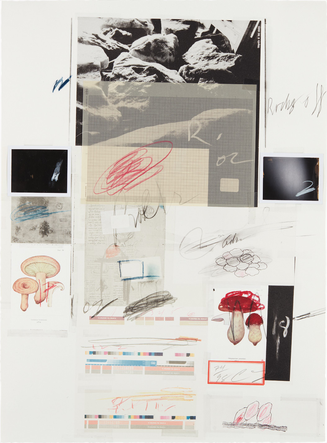 Natural History Part I Mushrooms: No. X