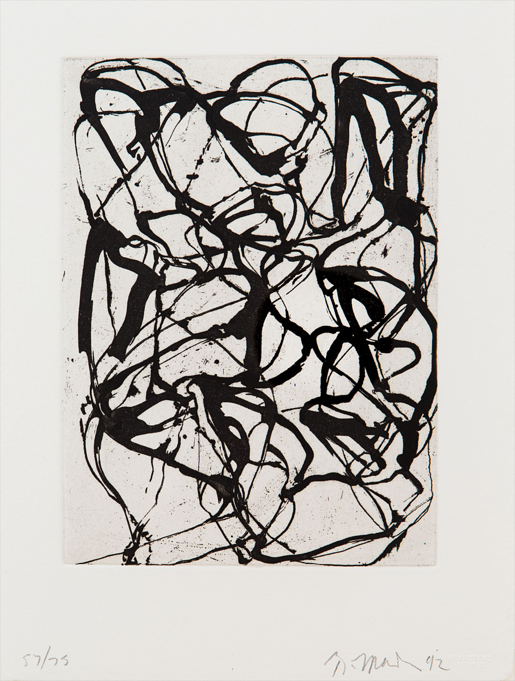 Brice Marden — Han Shan Exit