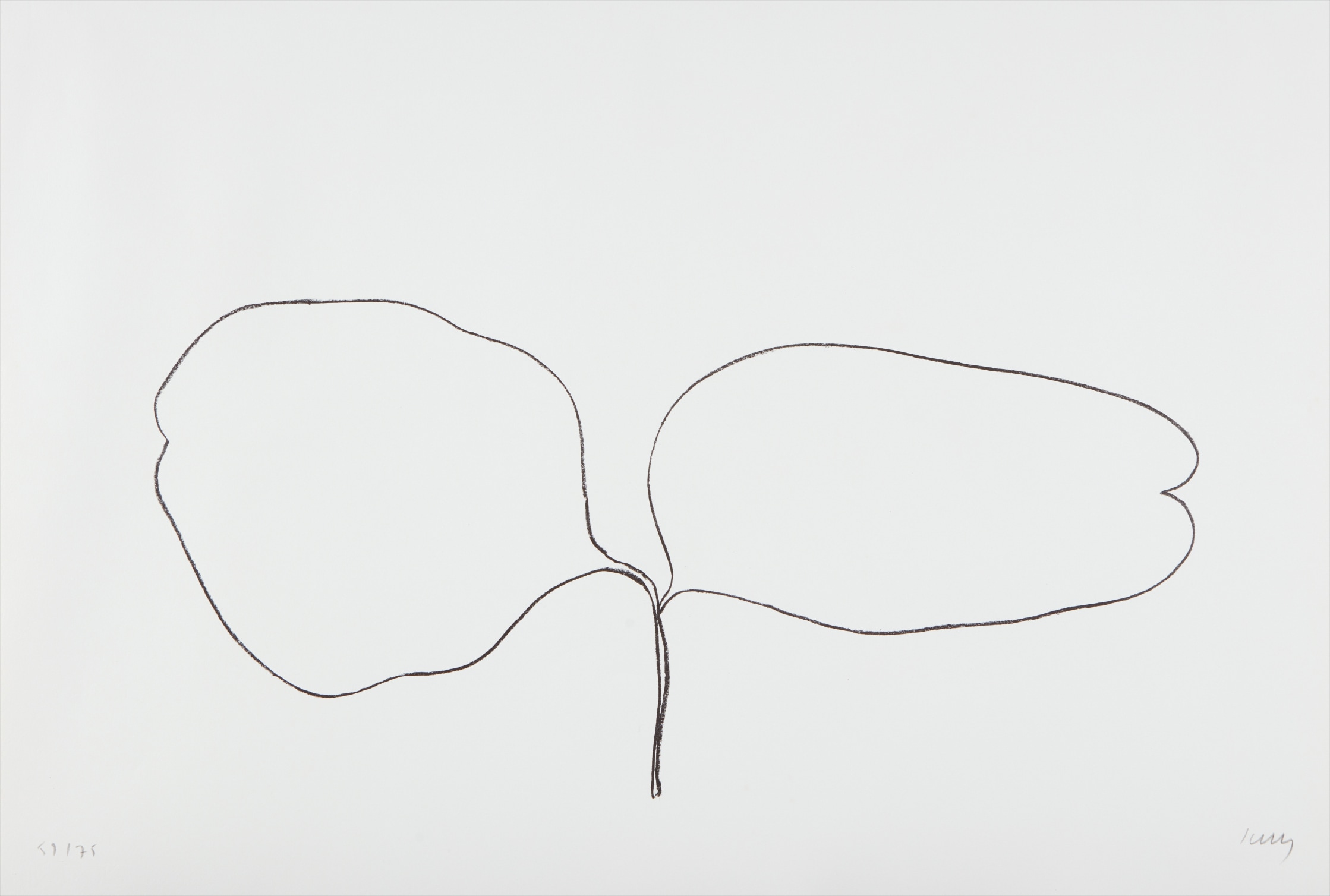 Ellsworth Kelly — Locust (Acacia), from Suite of Plant Lithographs