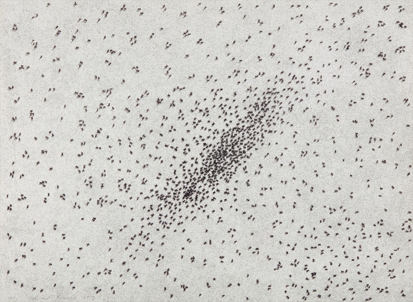 Ed Ruscha — Insect Slant (Ants), from Reality and Paradoxes