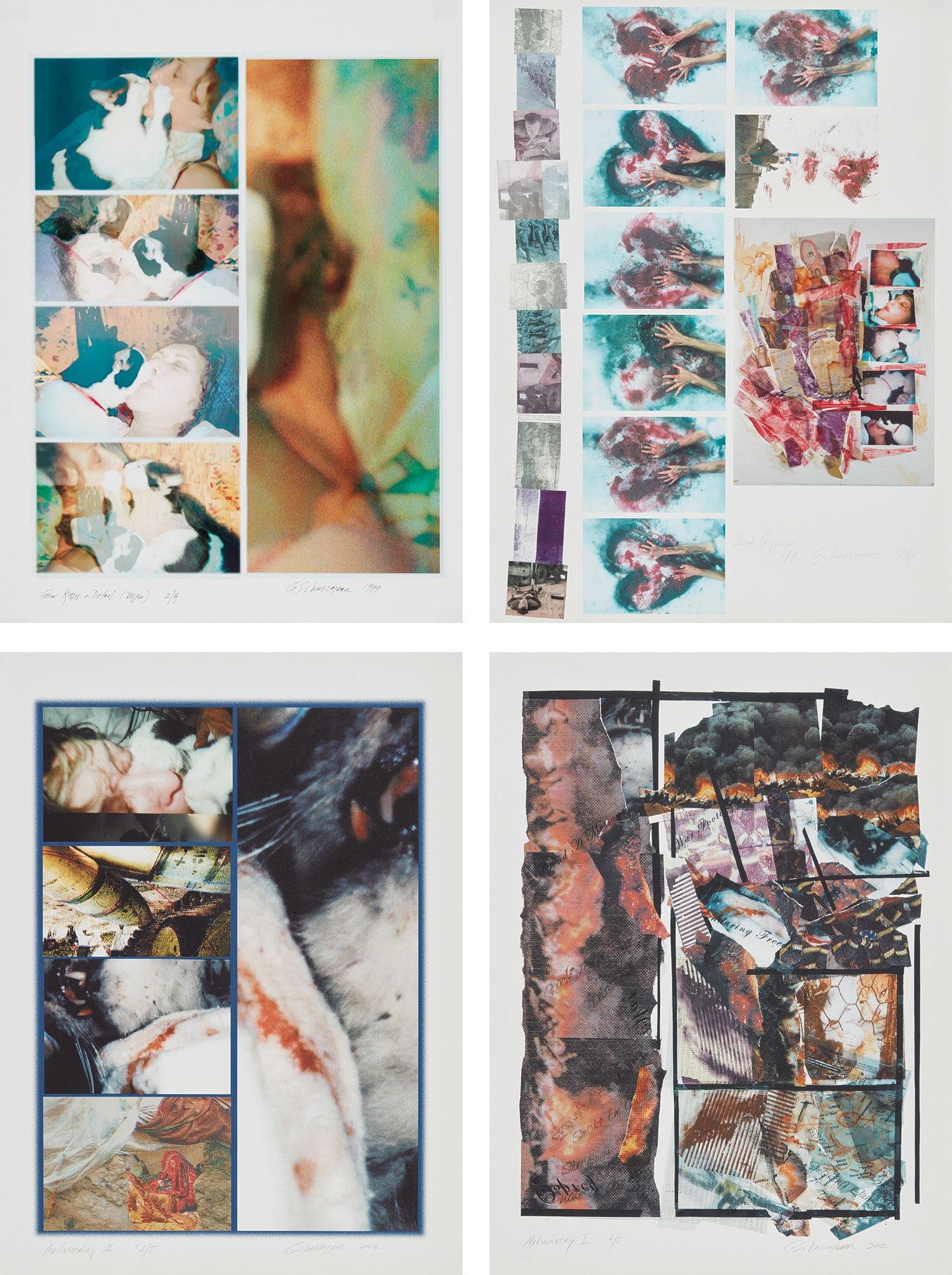 Carolee Schneemann — Four Kisses + Detail (Vesper); Dead Engineer-Kosovo; Hallucinatory I; and Hallucinatory II