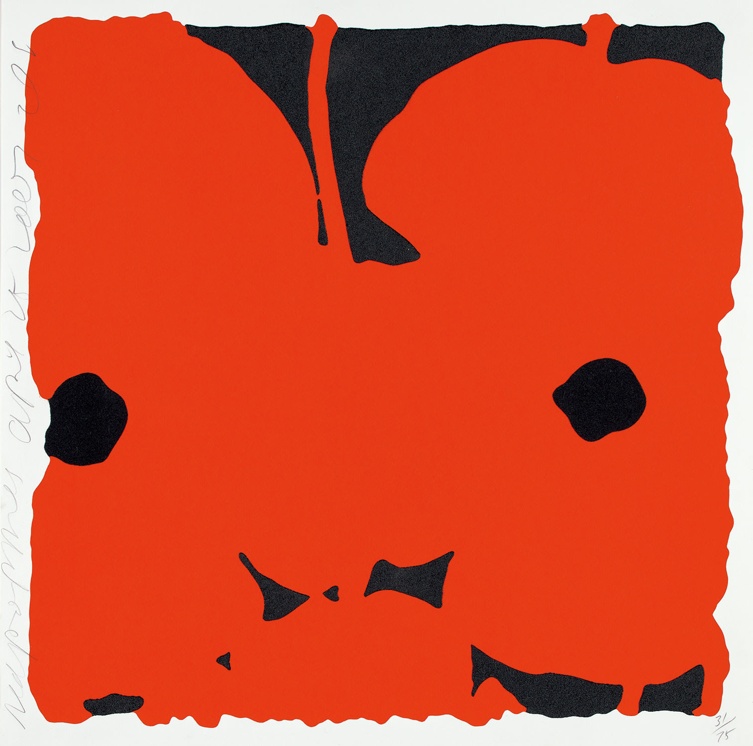 Red Poppies, April 25, 2007