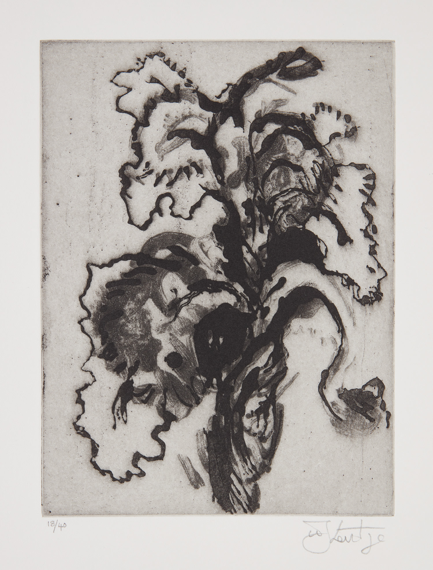 William Kentridge — Flower