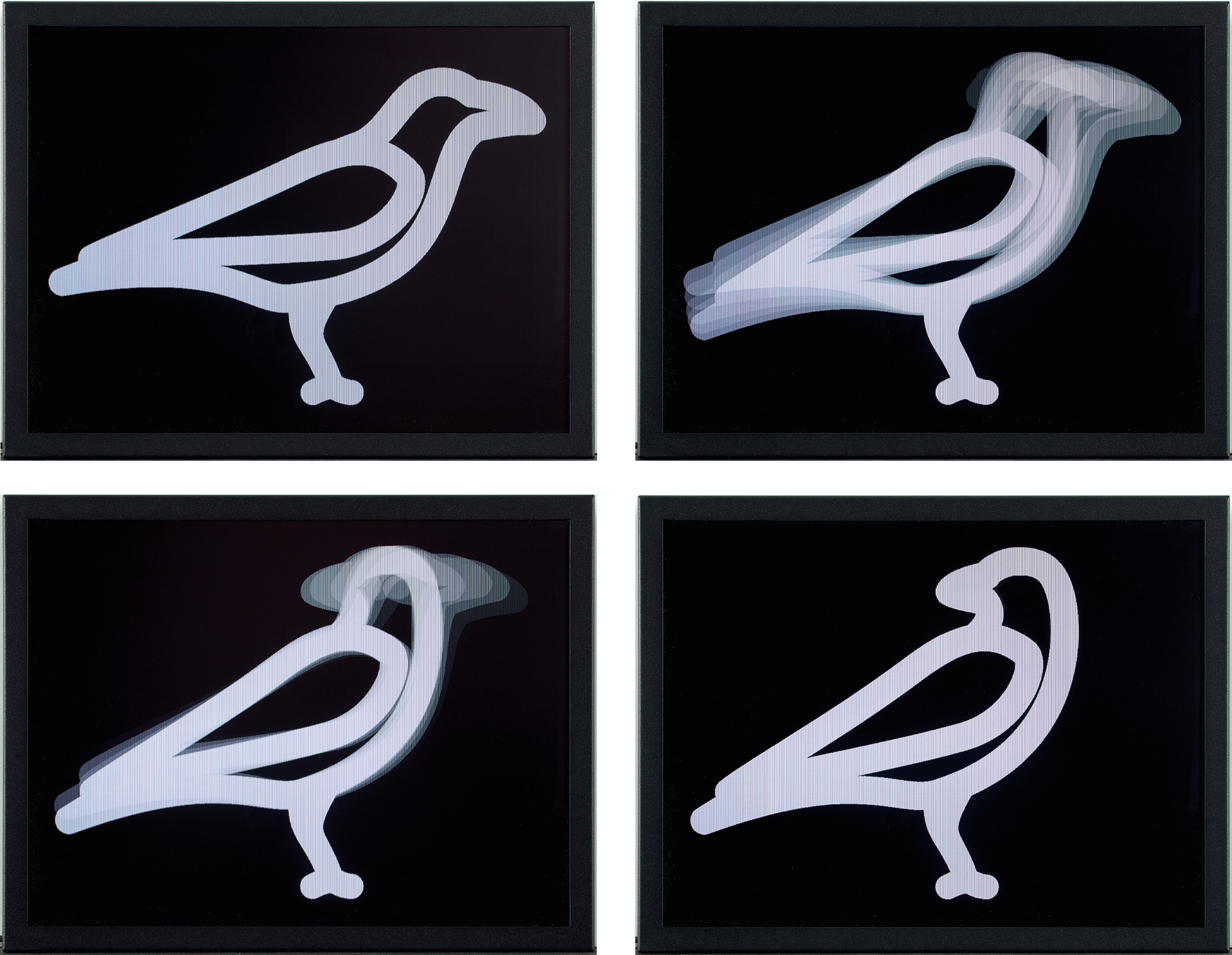 Julian Opie — Crow Turning