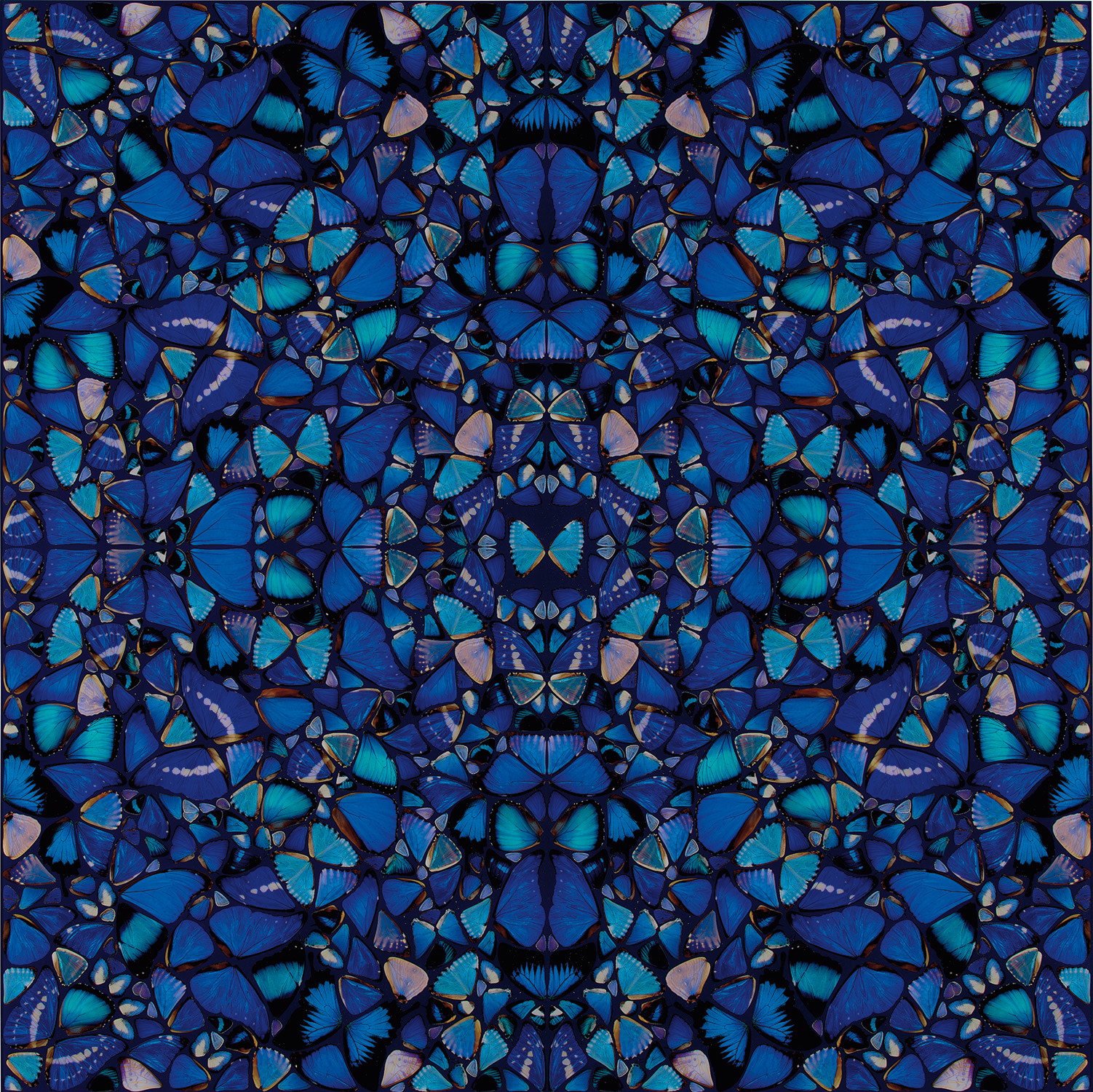 Damien Hirst — Grace (H6-2)