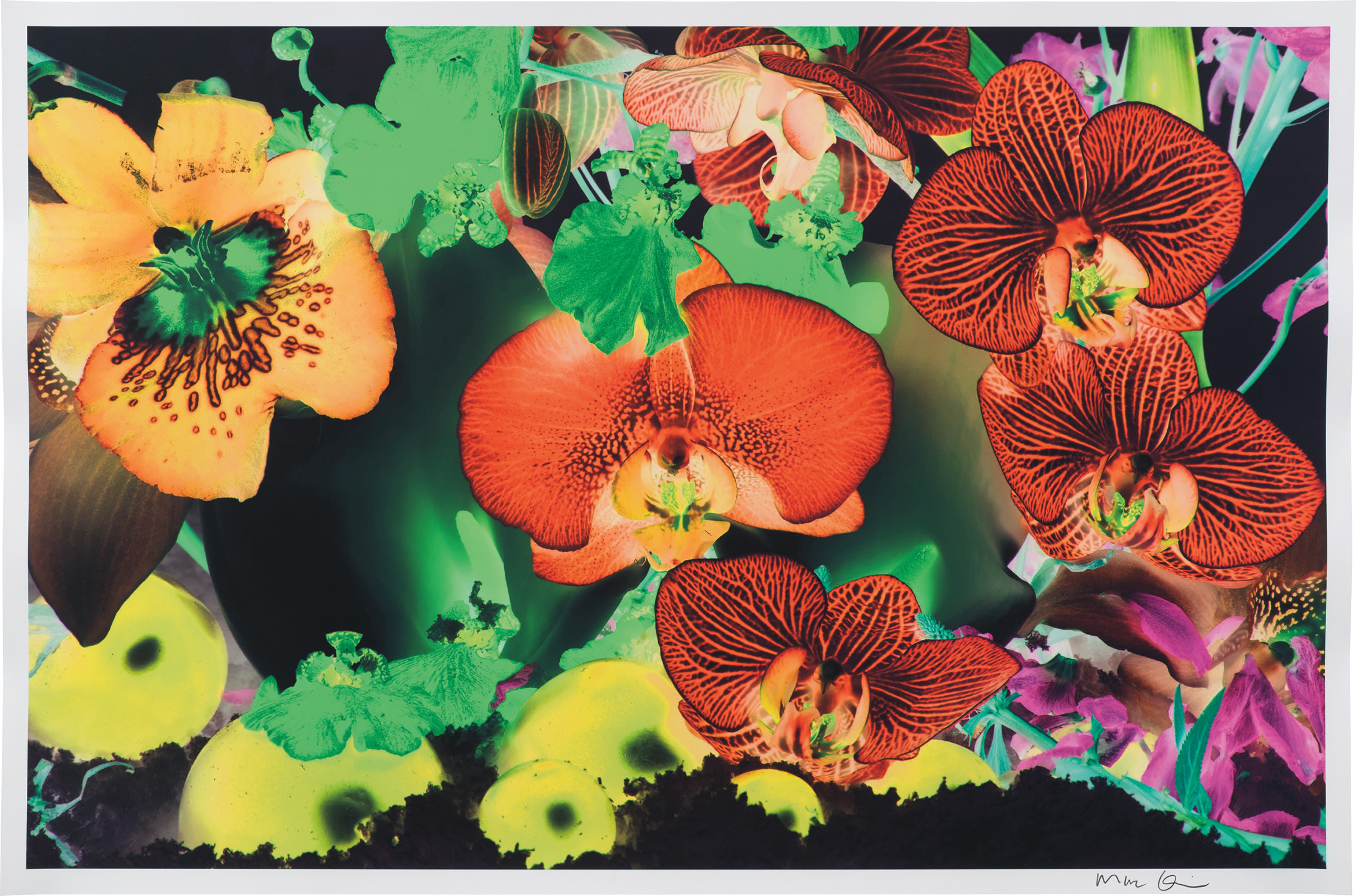 Marc Quinn — A Map of Where You Can't See the Stars, Atlantic View