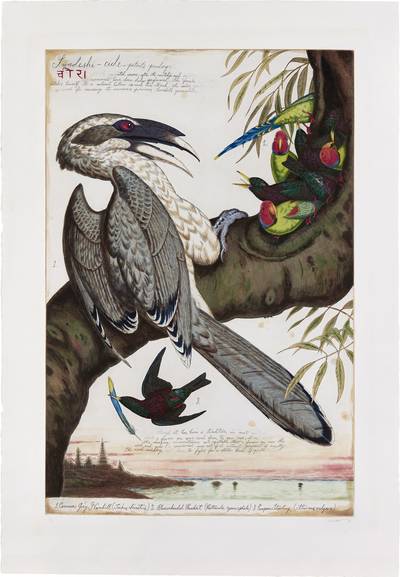 Swadeshi-cide (Indigenous)