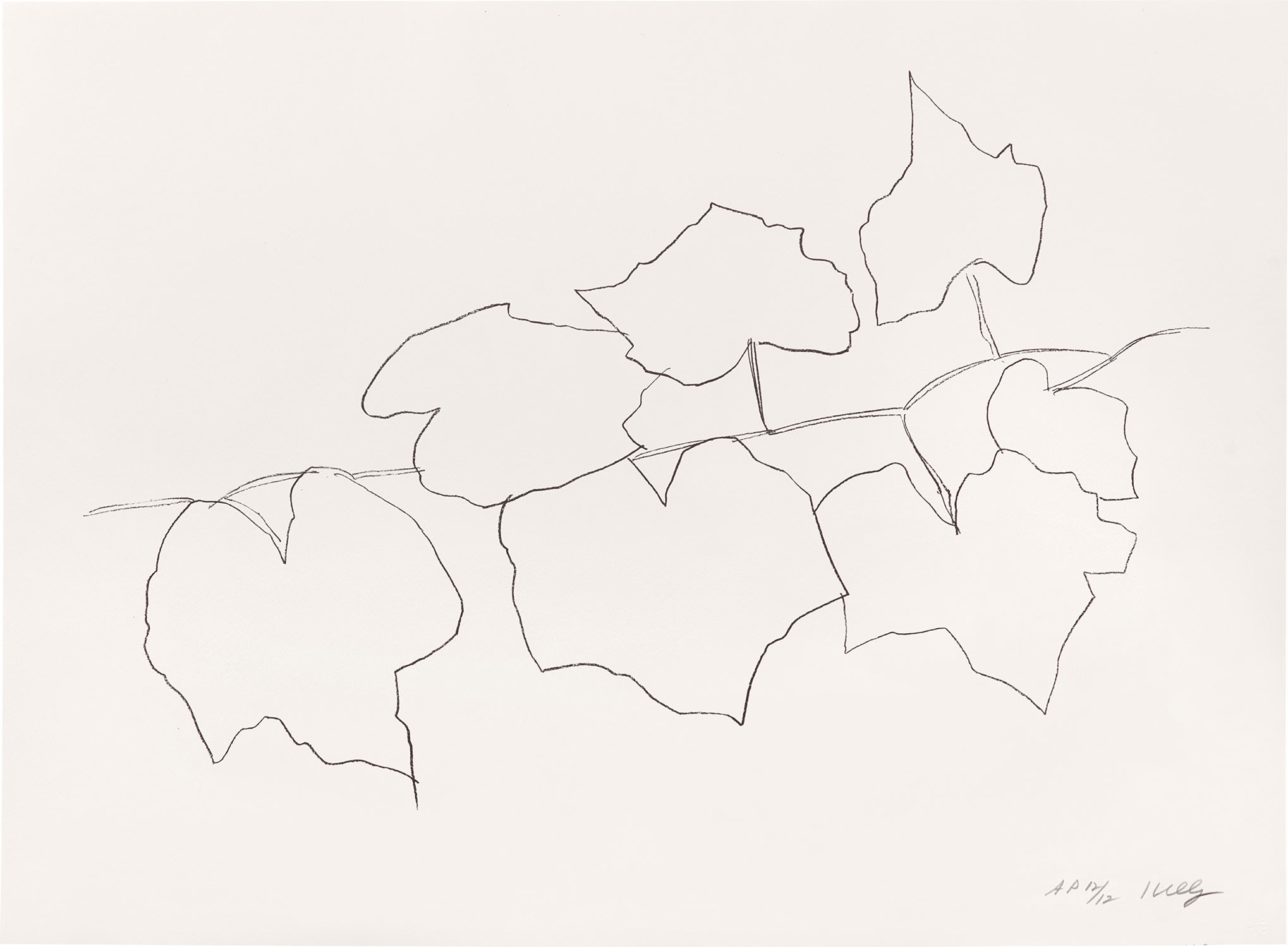 Ellsworth Kelly — Wild Grape Leaves II (G. 2012, A. 312)