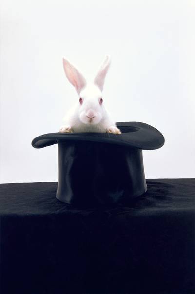 Portrait of Josephine