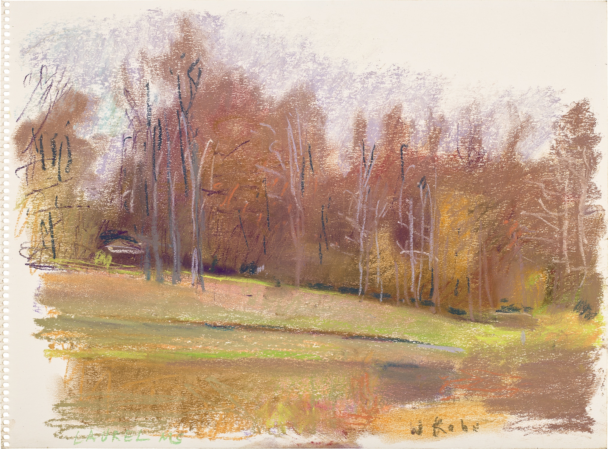 Autumn in the American South