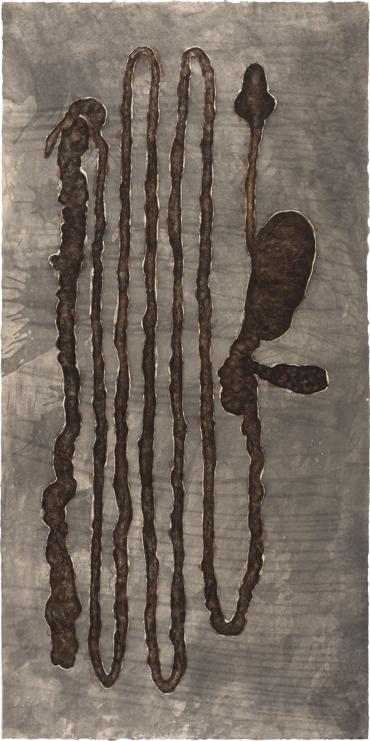 Kiki Smith 1993 (W. 27)