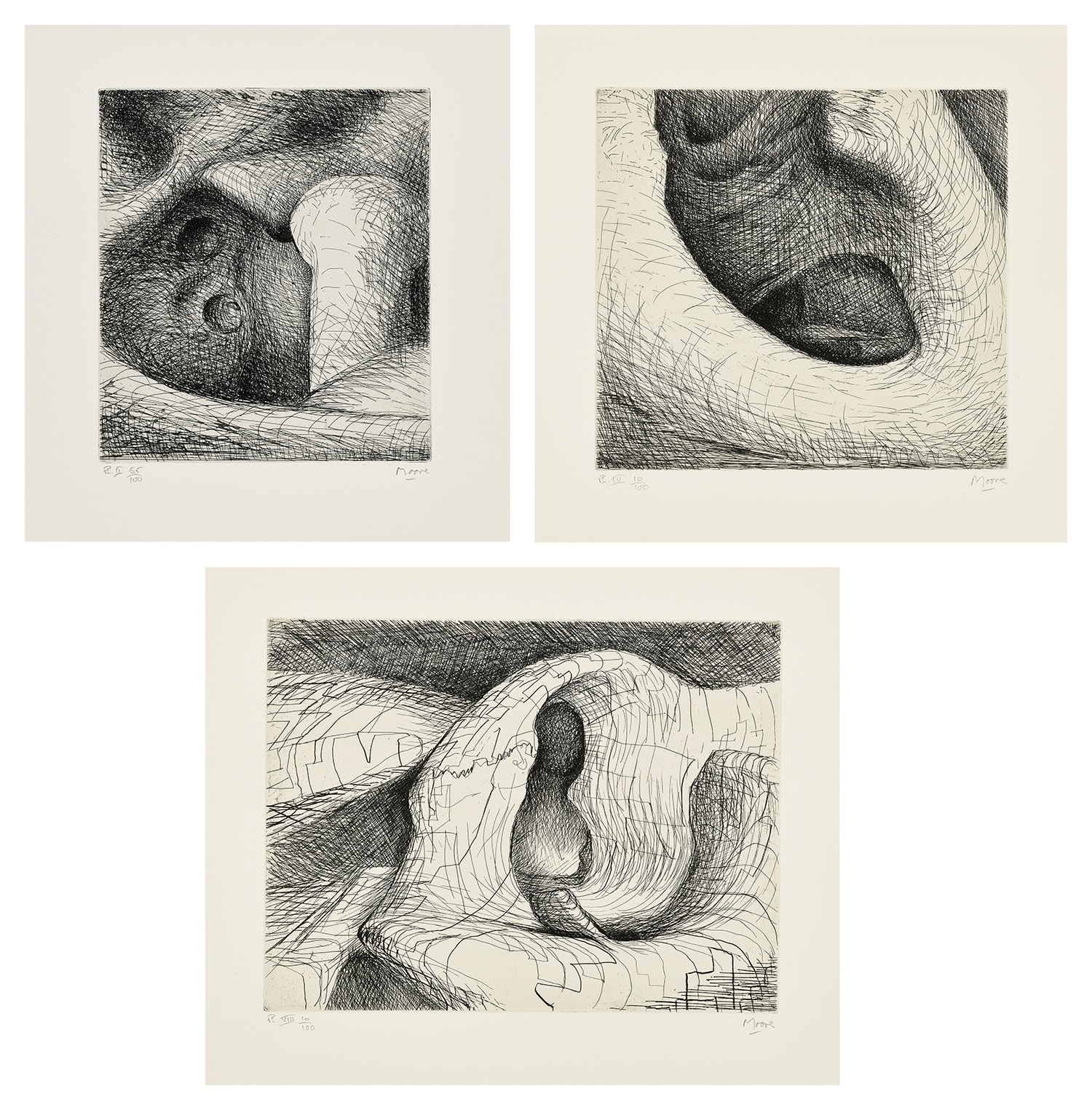 Elephant Skull: three plates (C. 115, 117 & 121)
