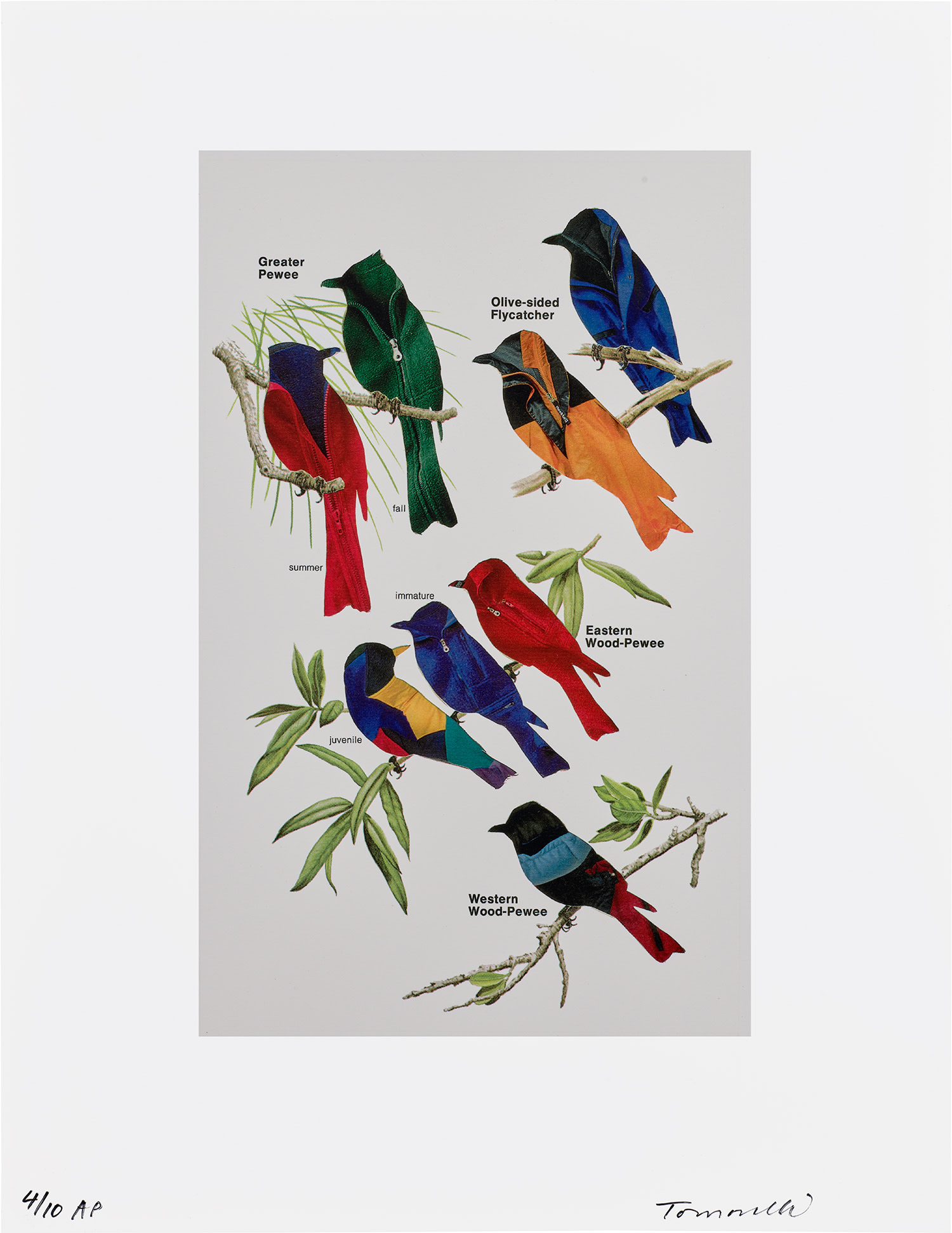 Fred Tomaselli — Greater Pewee, Olive-Sided Flycatcher, Eastern Wood-Pewee, Western Wood Pewee