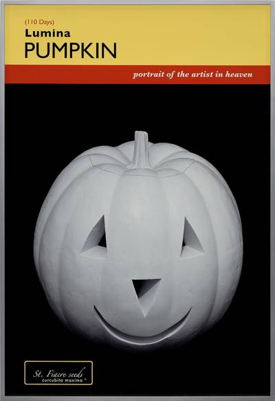 Pumpkin Poster