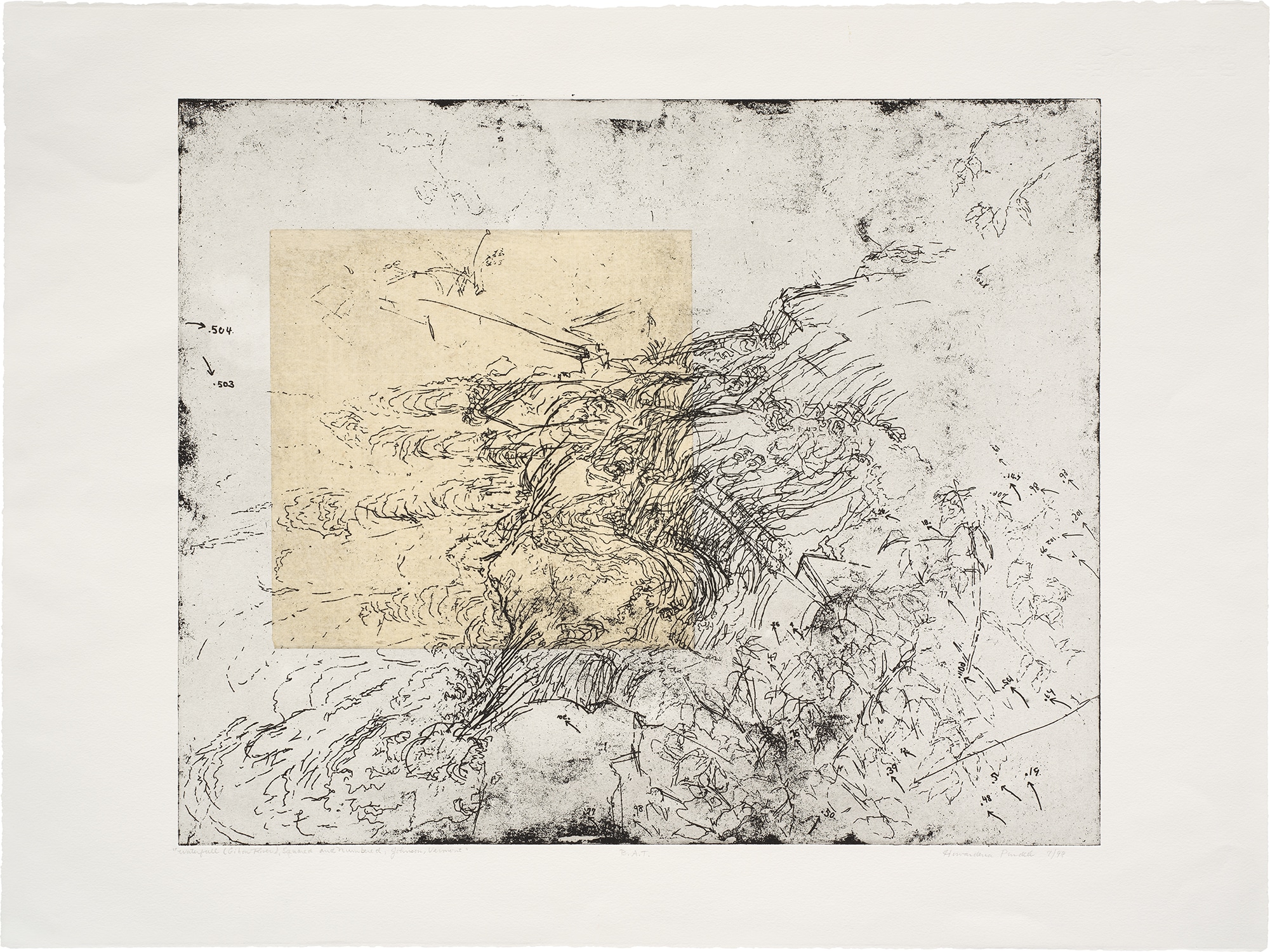 Howardena Pindell — Howardena Pindell