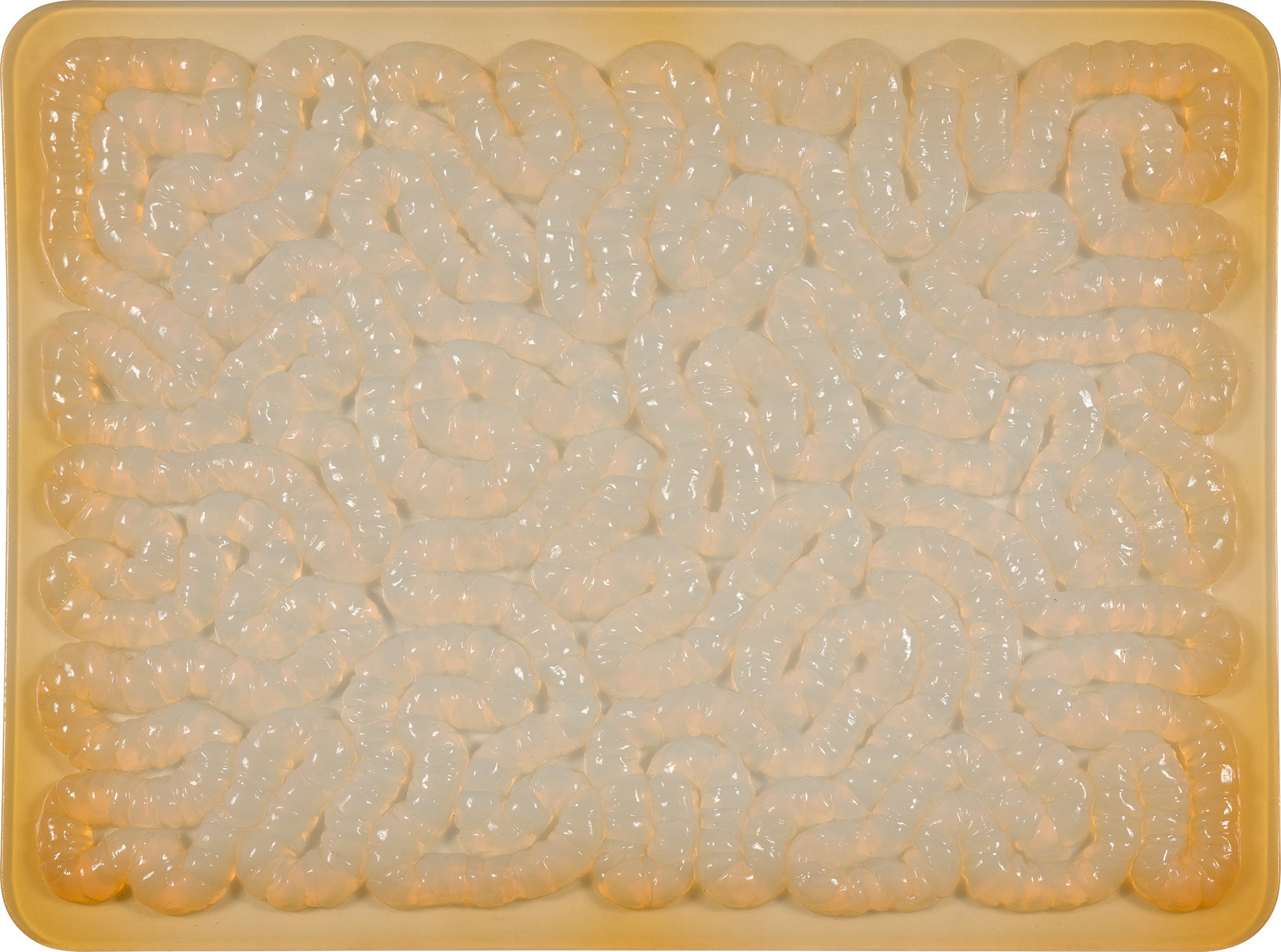 Mona Hatoum — Rubber Mat