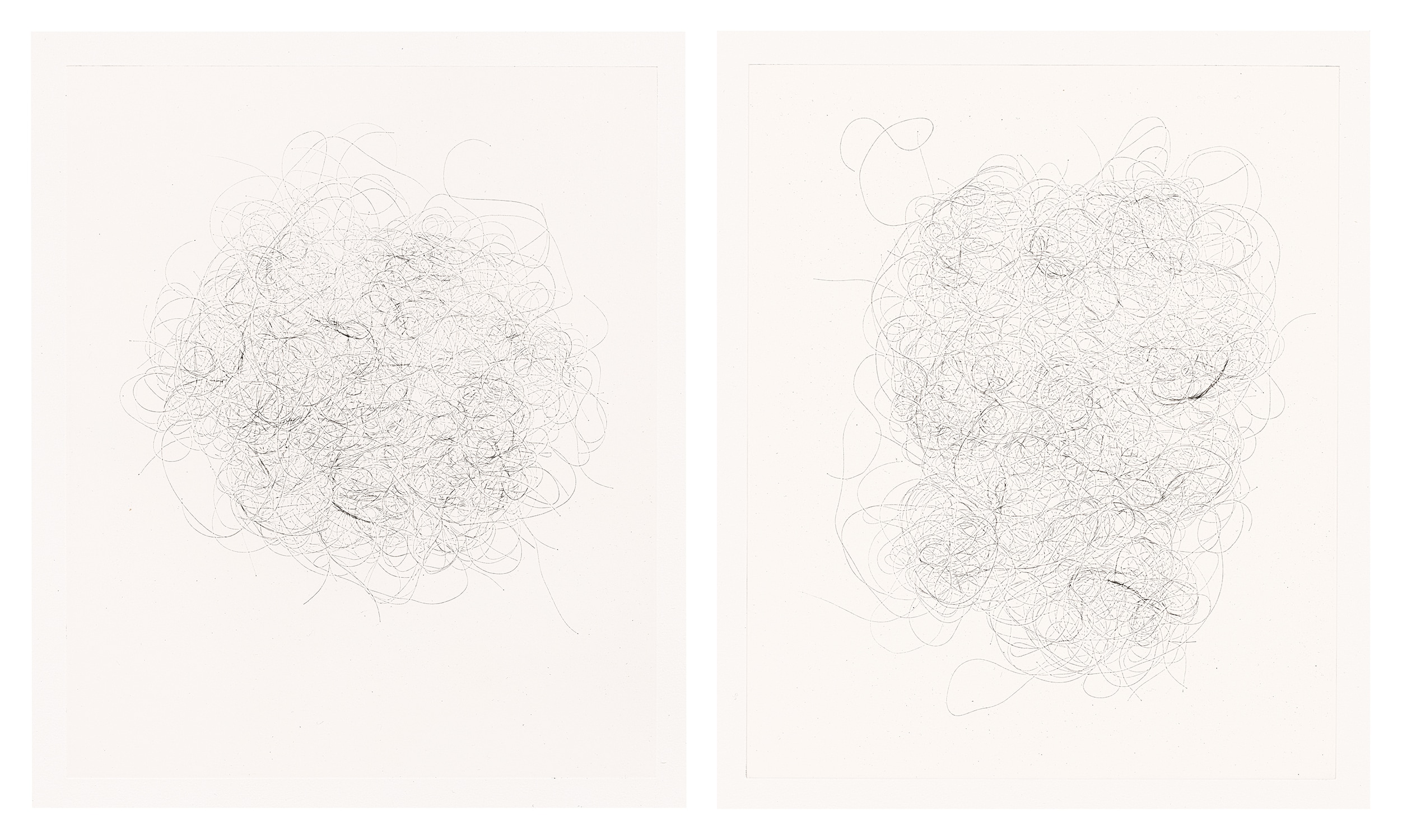 Mona Hatoum — Hair and there