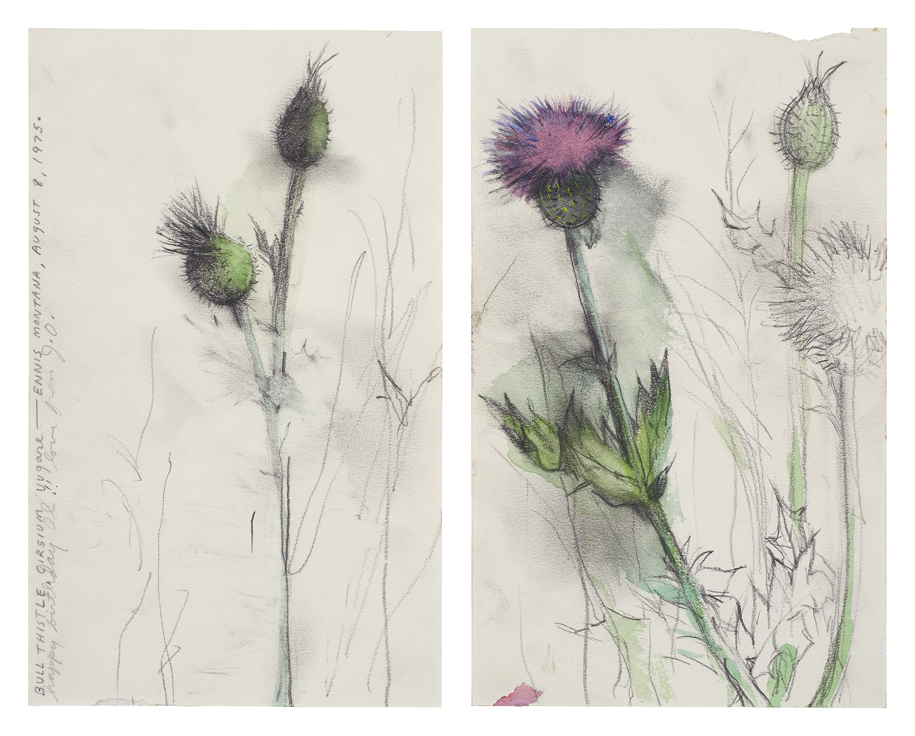 Jim Dine — Thistles