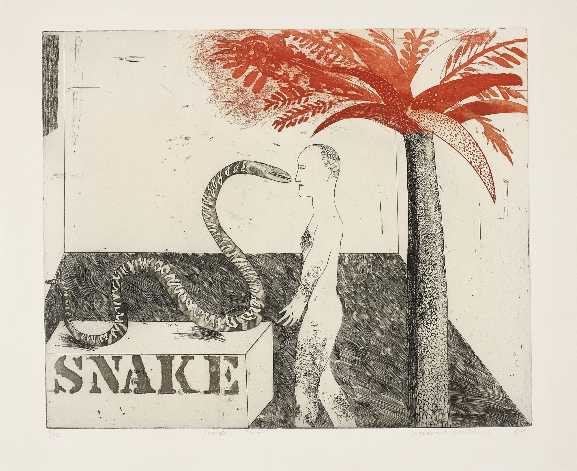 David Hockney — Jungle Boy