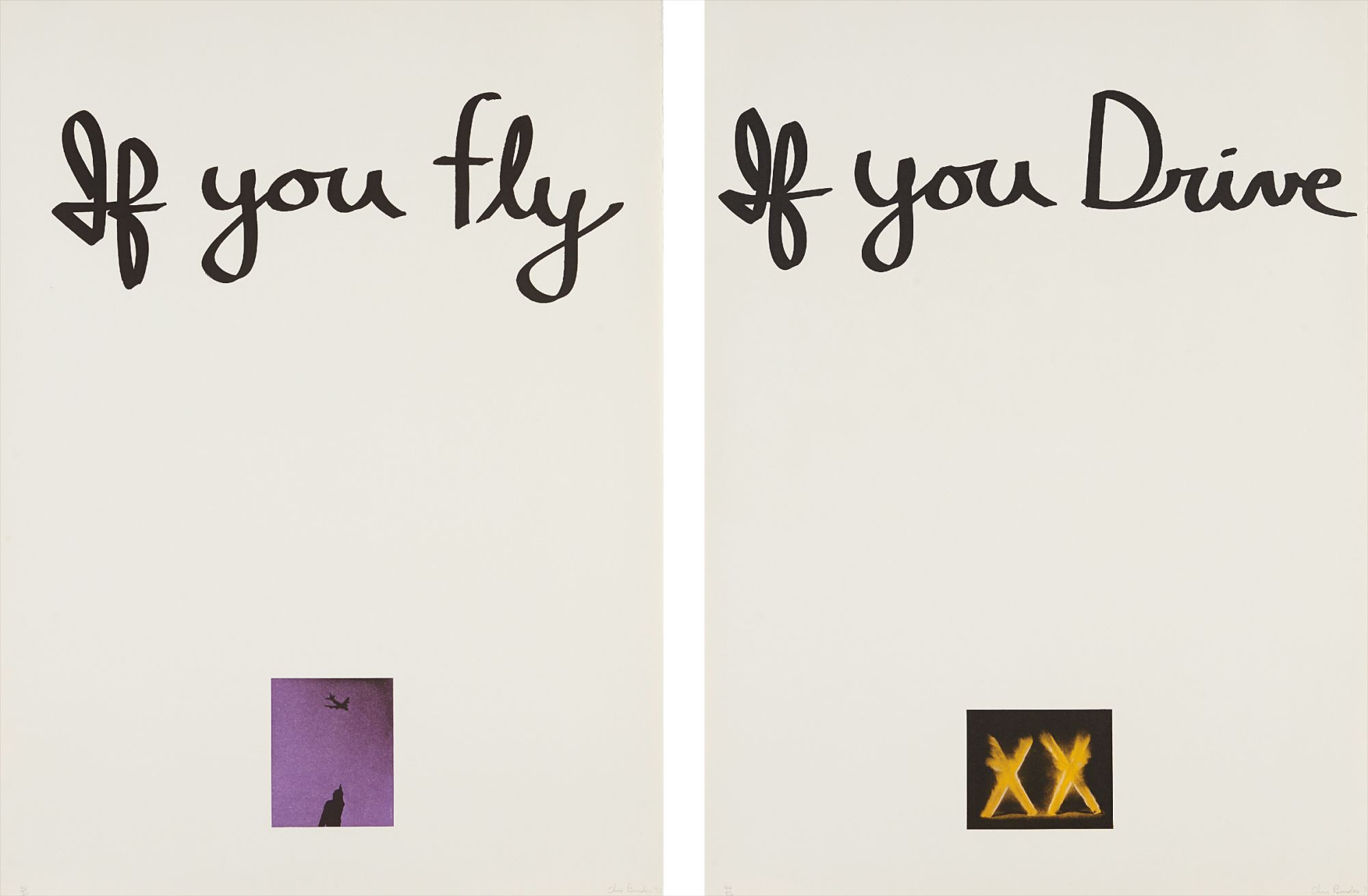 If You Fly, If You Drive (diptych)