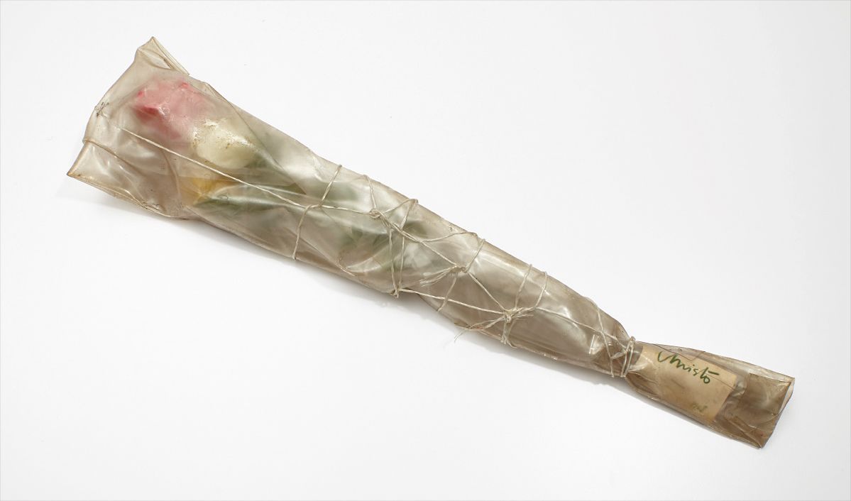 Christo — Wrapped Roses