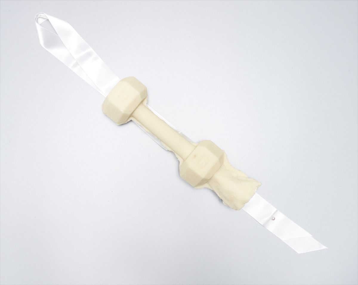 Matthew Barney — Sweet Bolus (for Parkett)