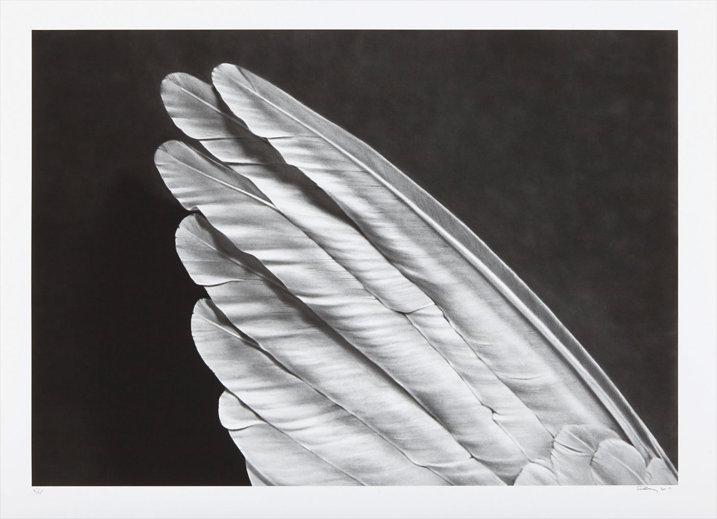 Robert Longo — Angels Wing (small version)