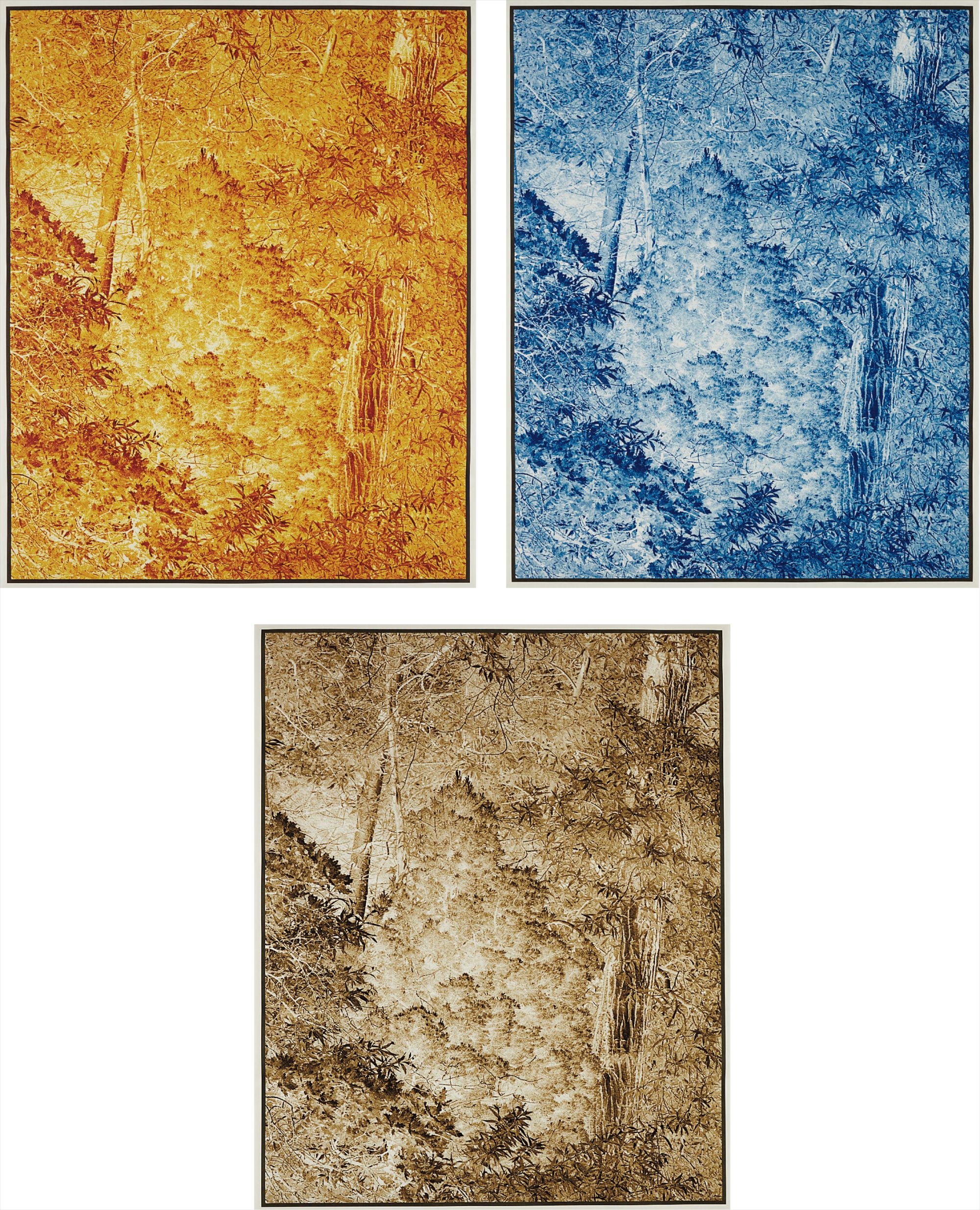 Harmonium I; III; and V