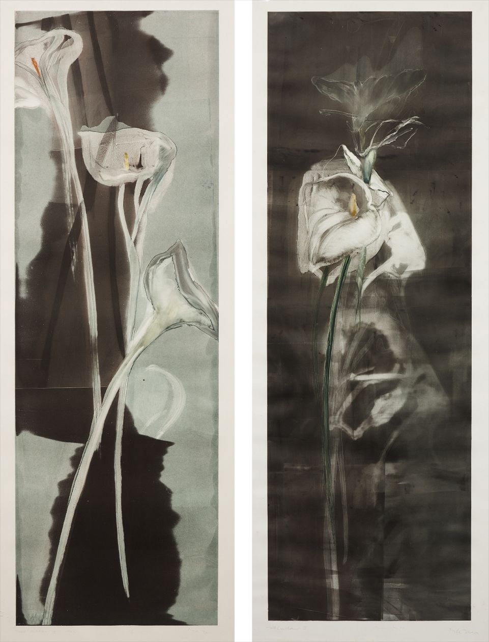 Michael Mazur — Tall Calla II; and Tall Calla II