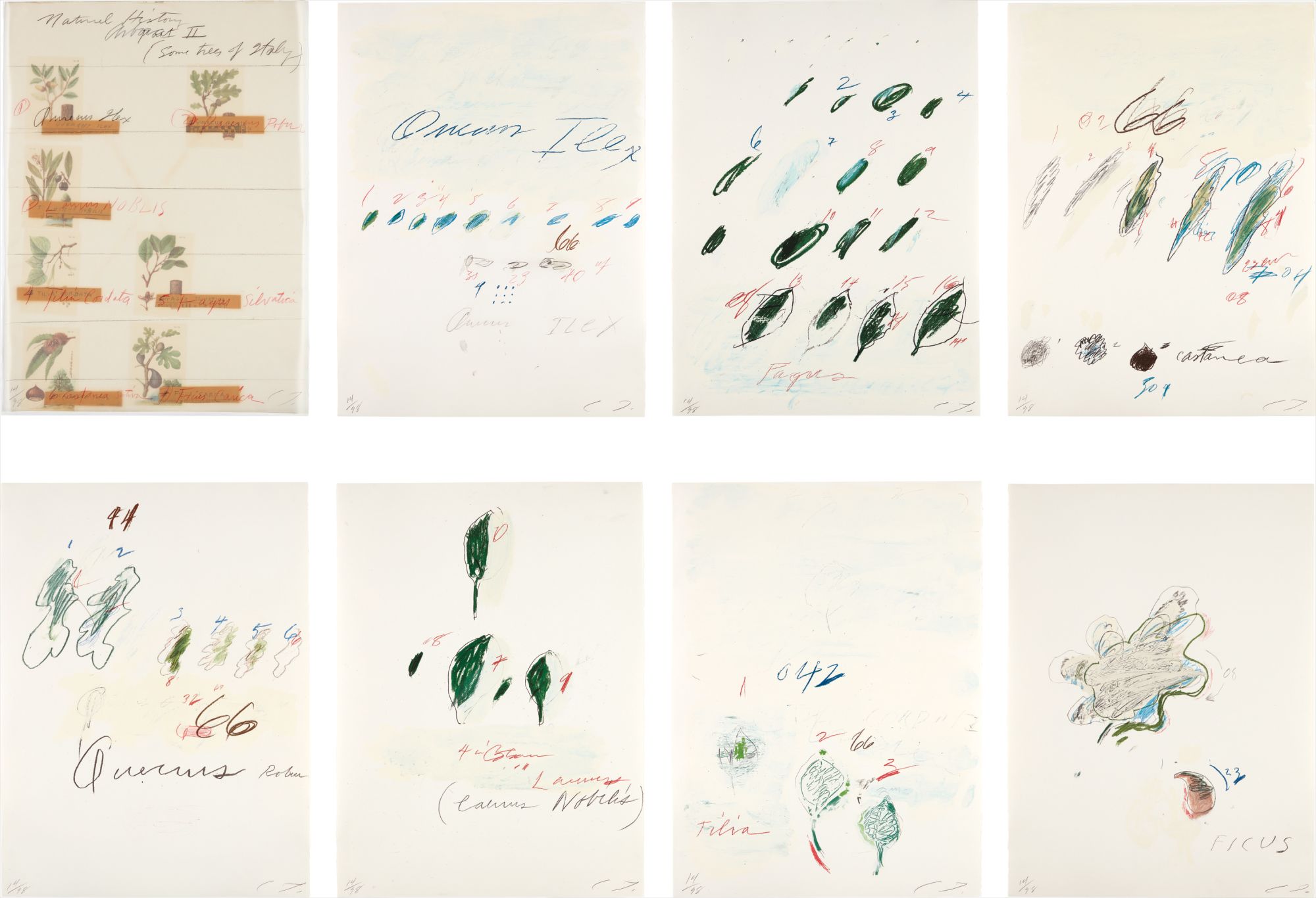 Cy Twombly — Natural History Part II: Some Trees of Italy