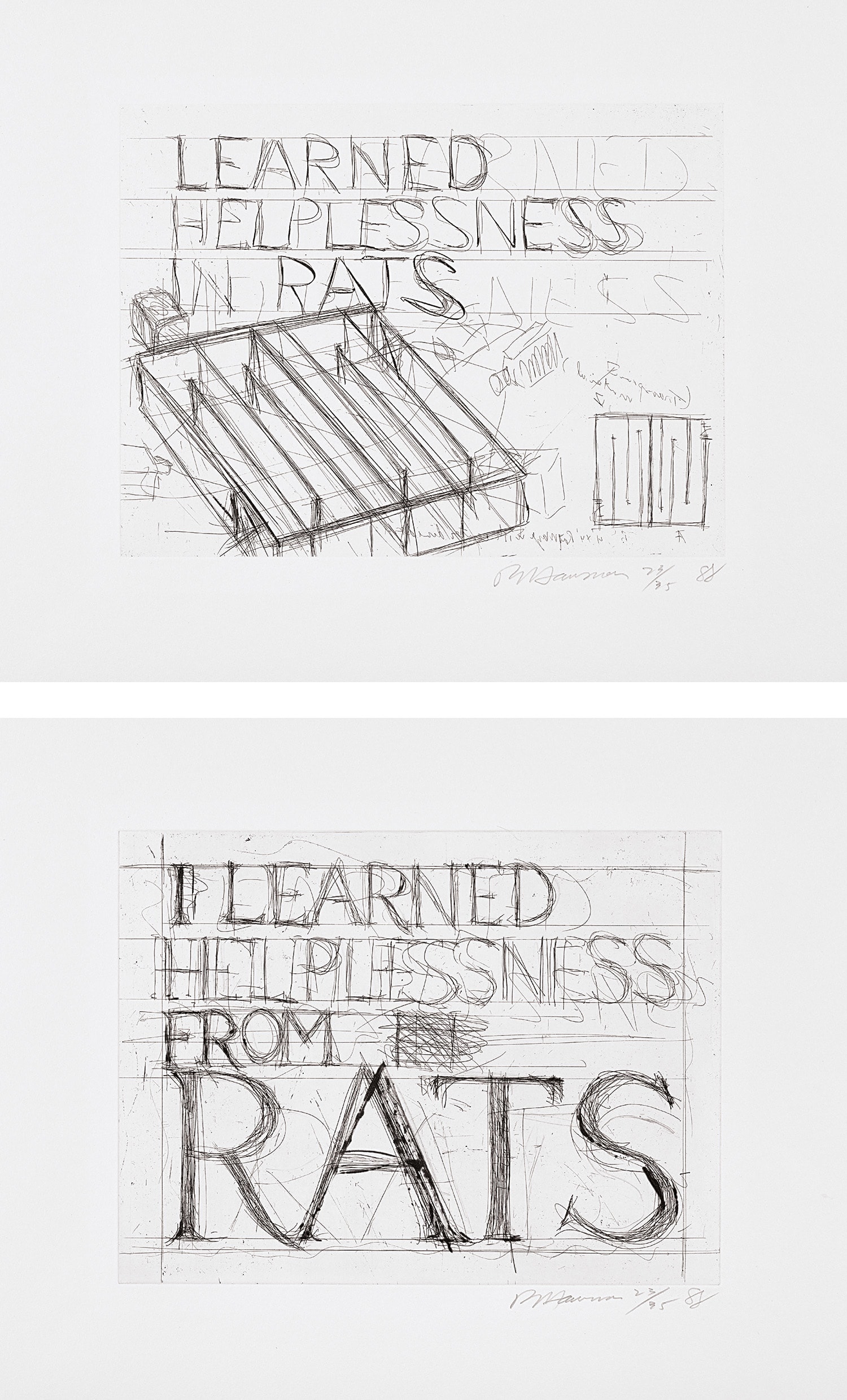 Bruce Nauman — Learned Helplessness In Rats: and I Learned Helplessness From Rats