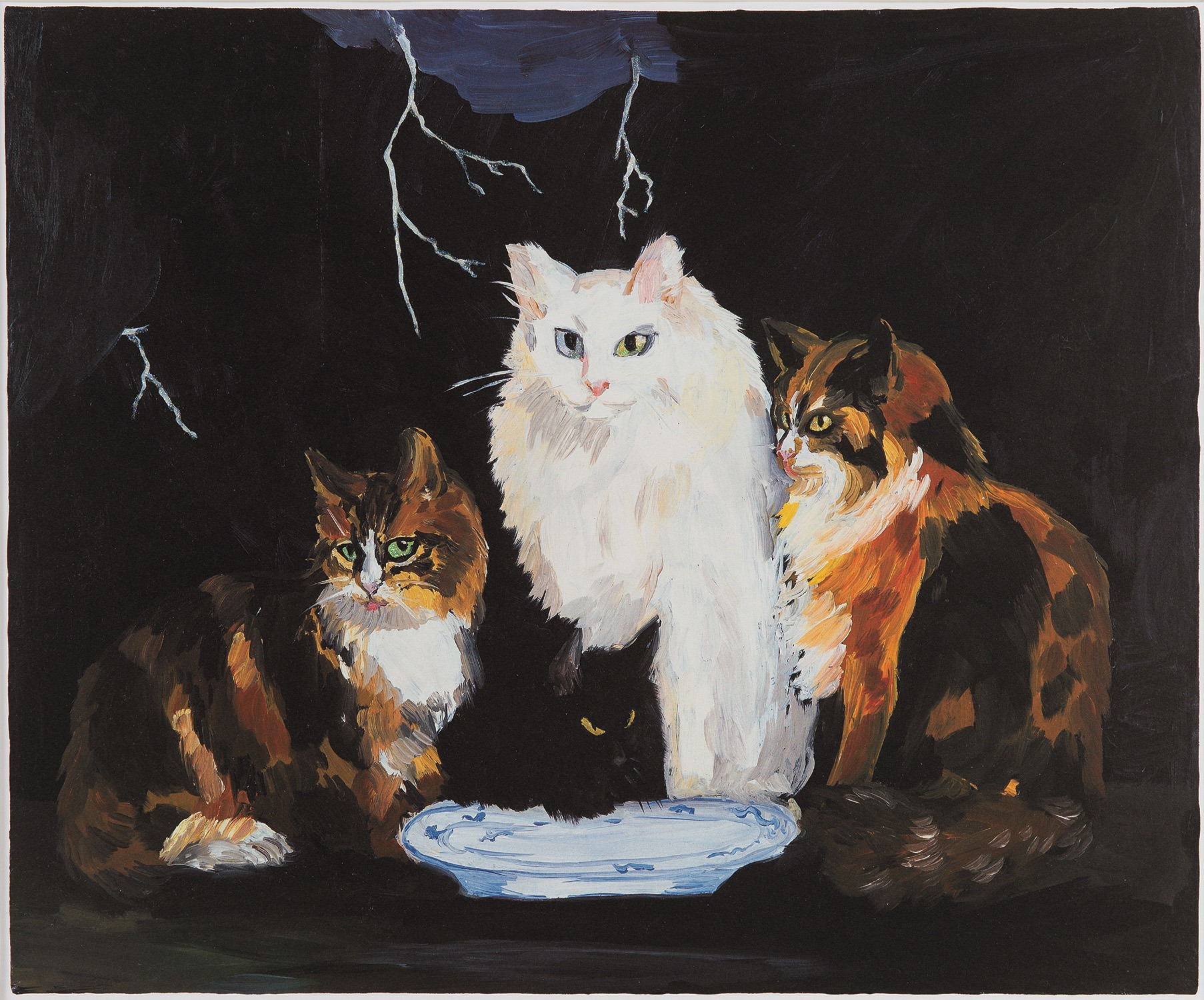 Surf & turf, Belgian Cats on the Northern Coast of Belgium