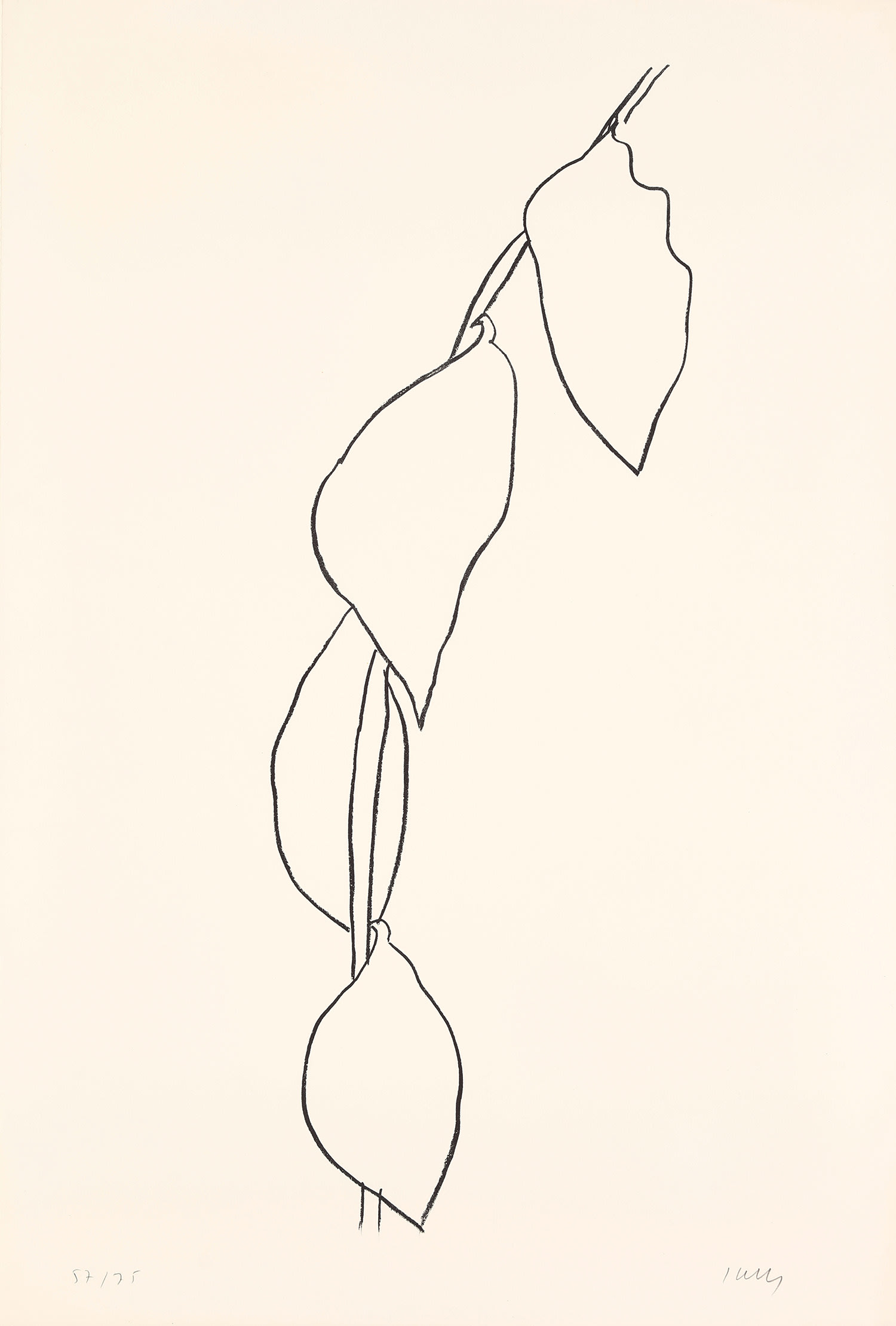 Ellsworth Kelly — Lemon Branch (Branche de Citron), from Suite of Plant Lithographs (A. 57)