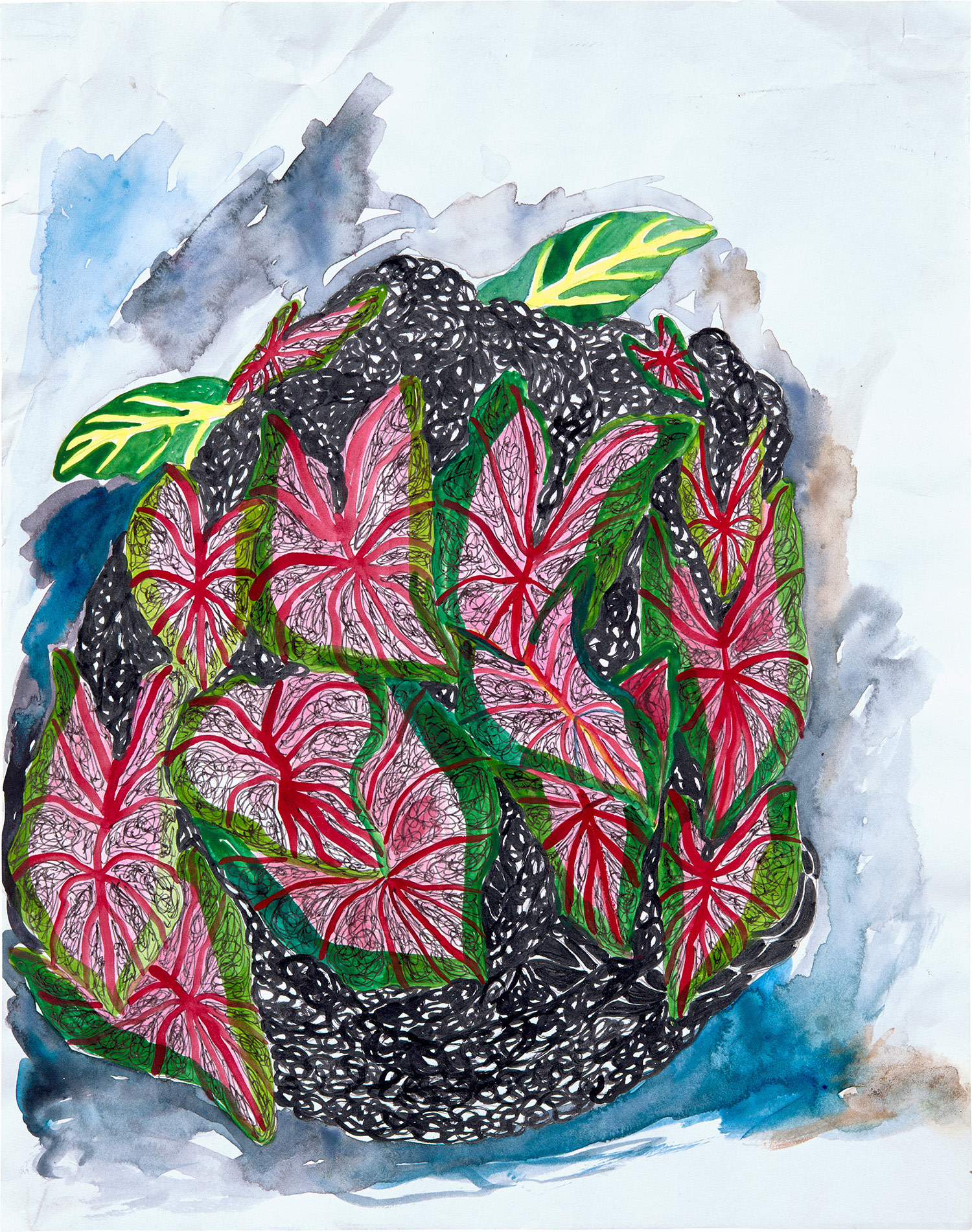 Vaughn Spann — Strange Bloom #4