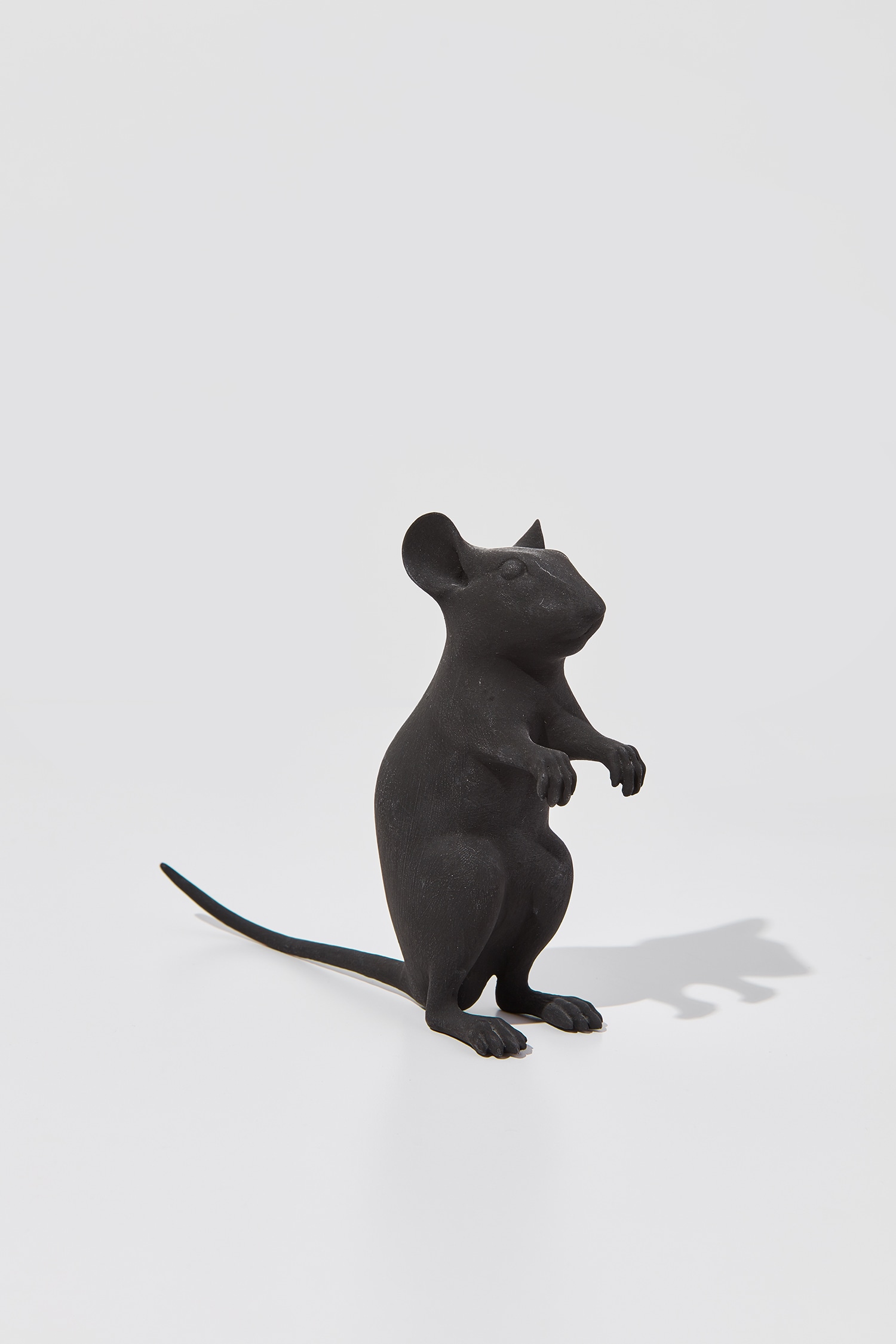 Maus (Mouse)