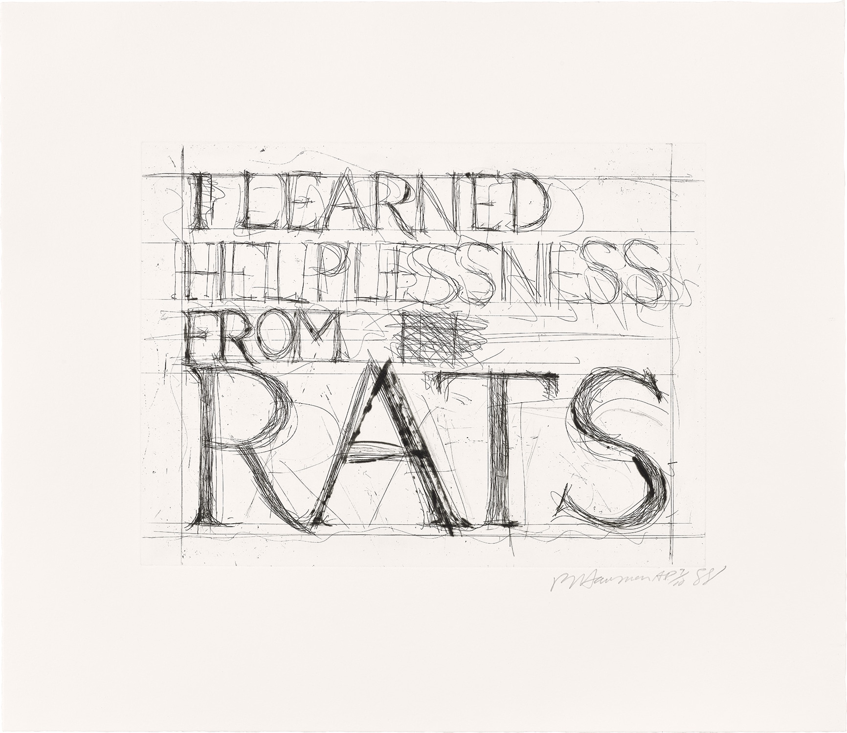 Bruce Nauman — I Learned Helplessness from Rats (C. 61)