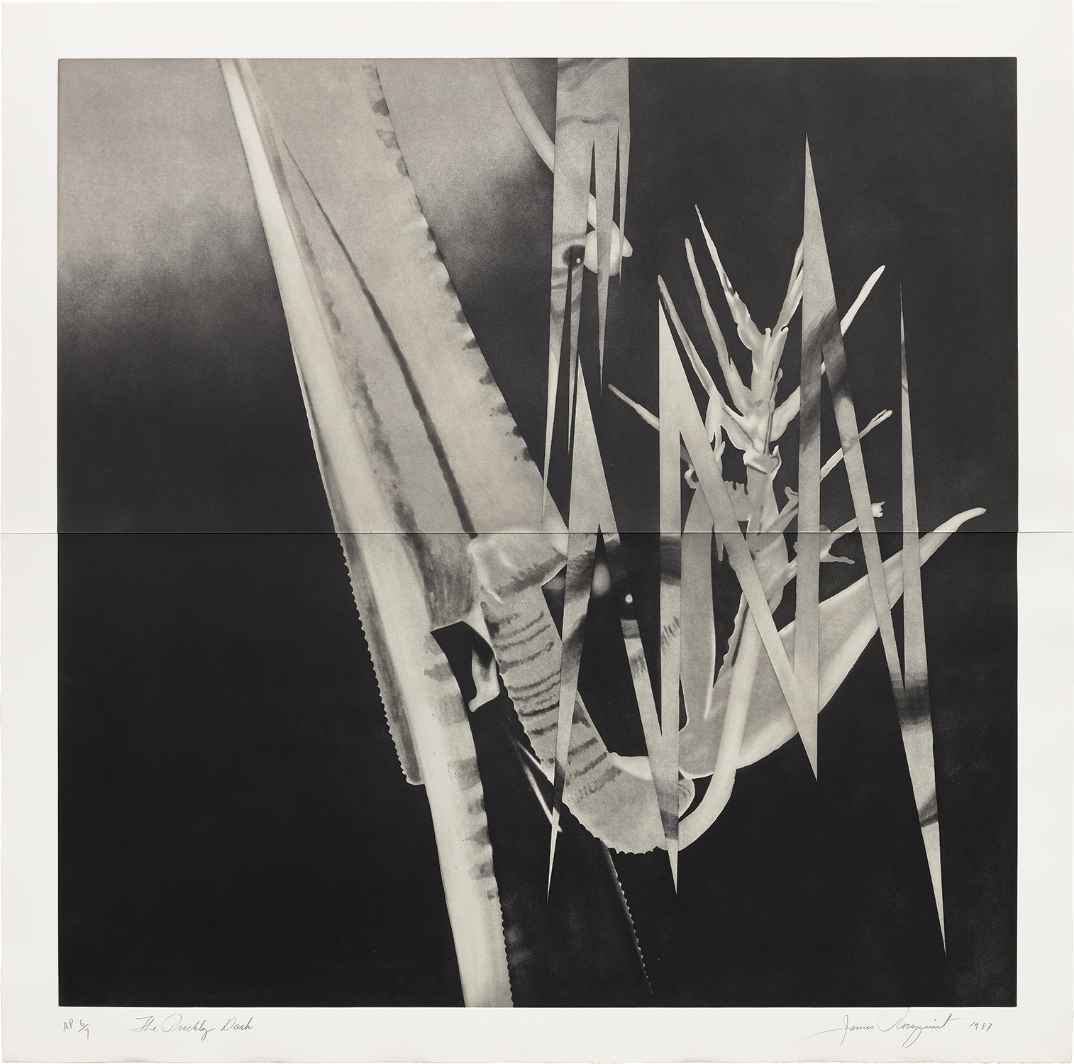 James Rosenquist — The Prickly Dark (G. 212)
