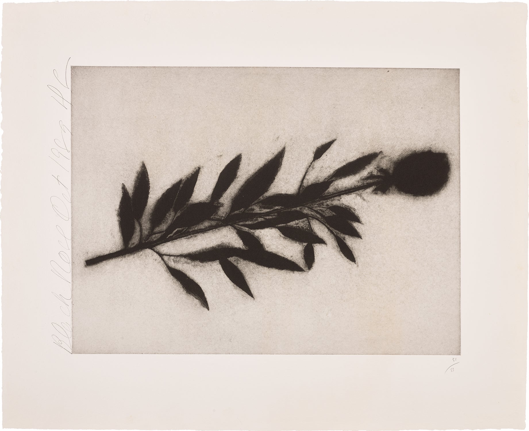 Donald Sultan — Black Rose, Oct., 1989, from Black Roses