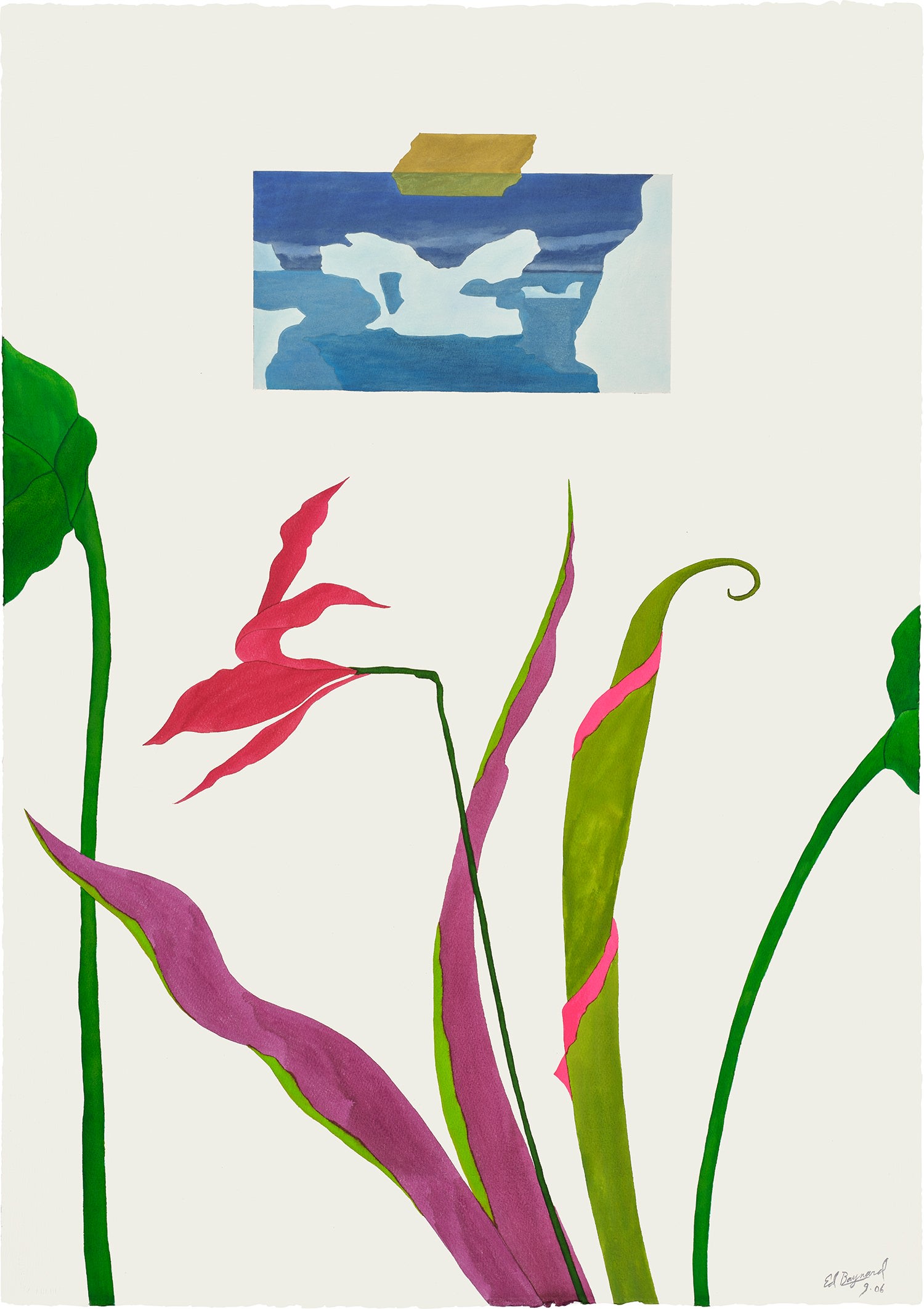 Ed Baynard — The Arctic & The Rainforest